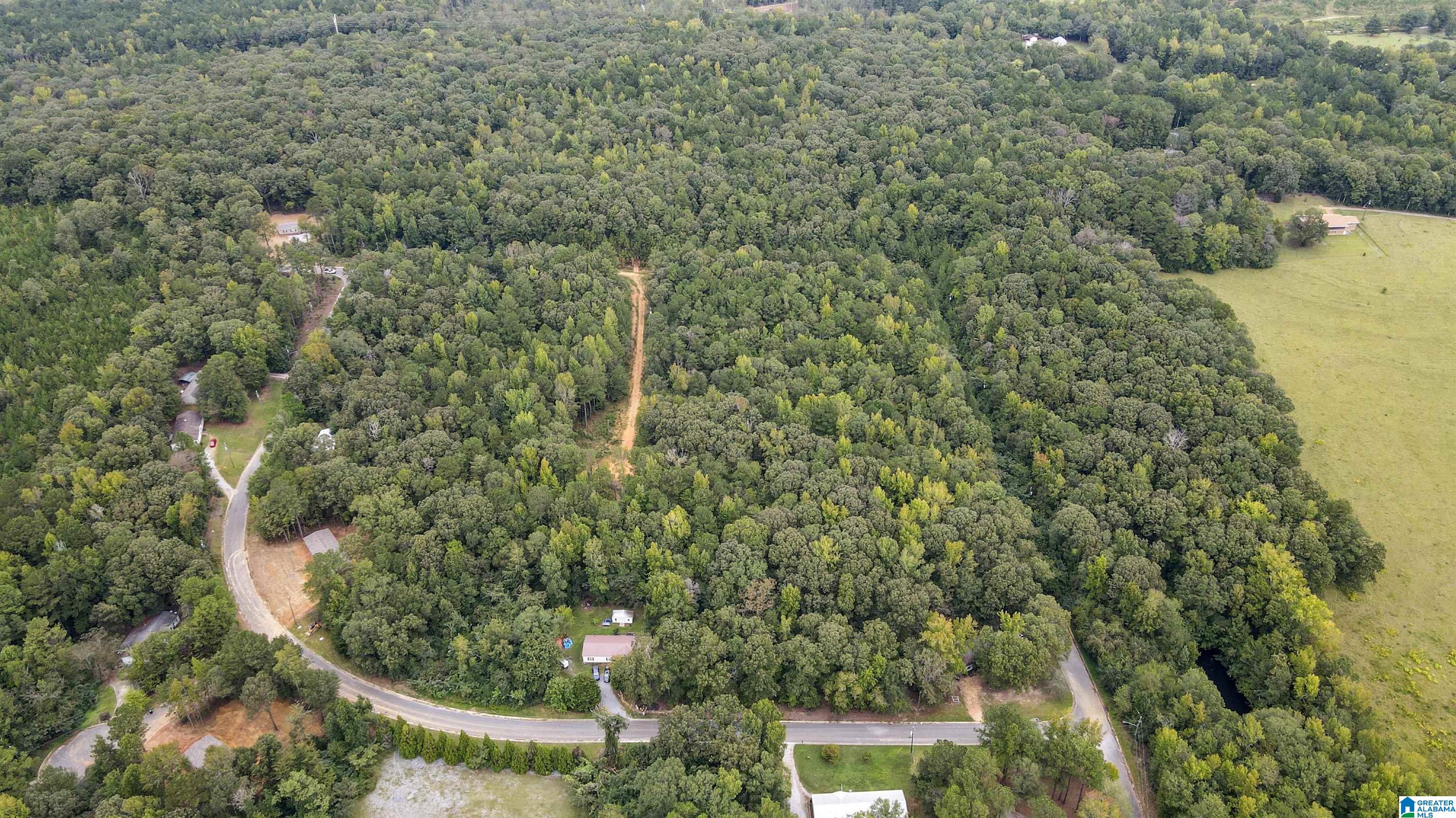 Homes for sale in Wilsonville, AL | 442 Davis Street, Wilsonville, AL 35186 | MLS# 21440784