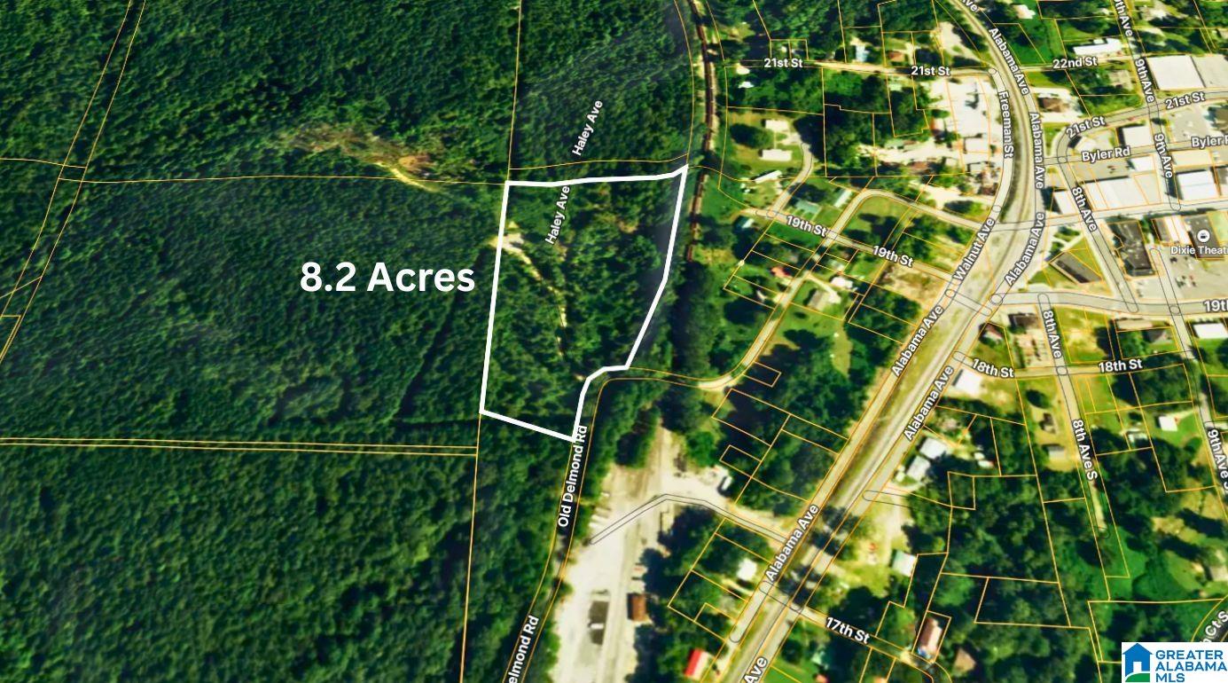 Homes for sale in Haleyville, AL | Tbd 1 Haley Avenue, Haleyville, AL 35565 | MLS# 21440794