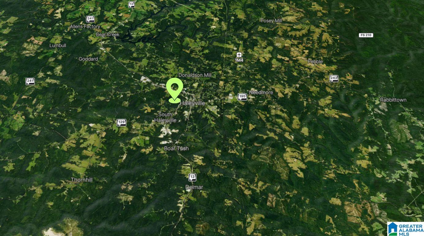 Homes for sale in Haleyville, AL | Tbd 1 Haley Avenue, Haleyville, AL 35565 | MLS# 21440794