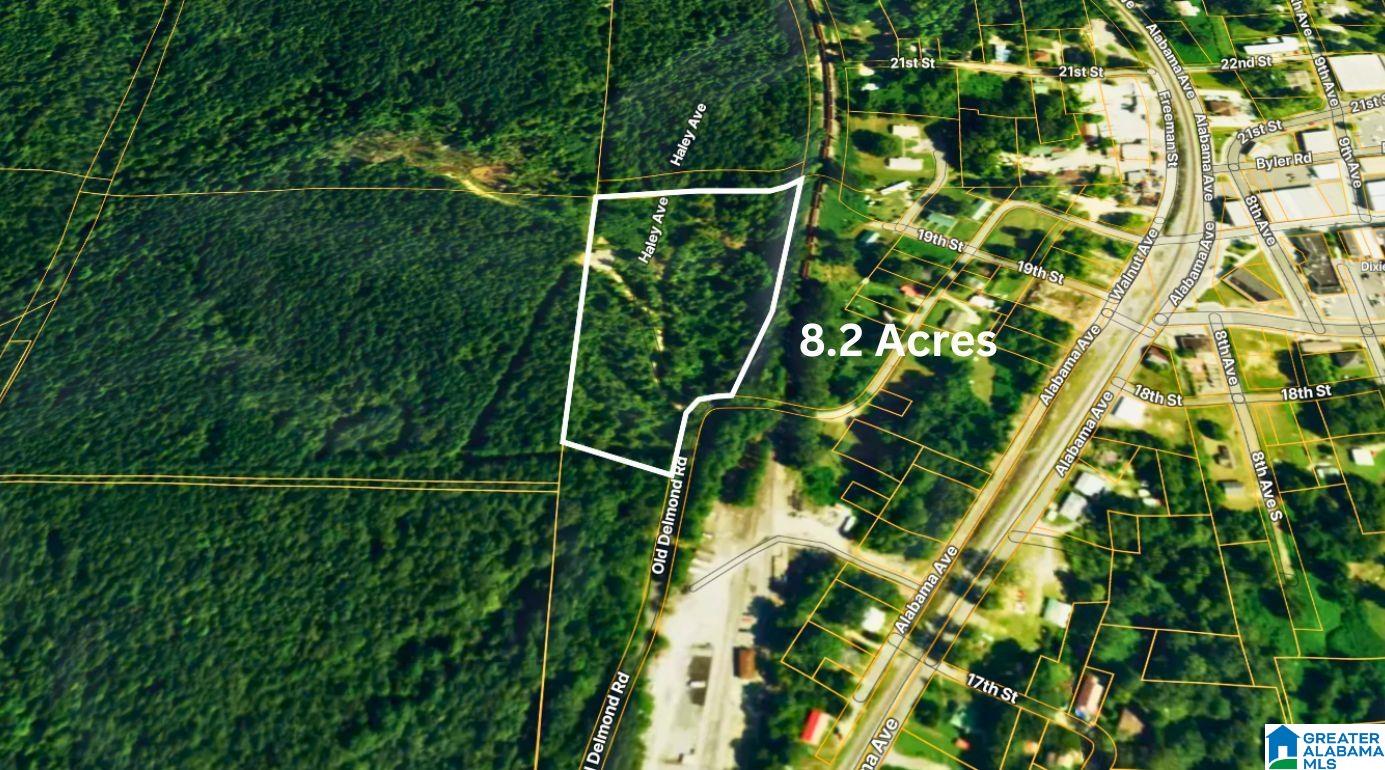 Homes for sale in Haleyville, AL | Tbd 1 Haley Avenue, Haleyville, AL 35565 | MLS# 21440794