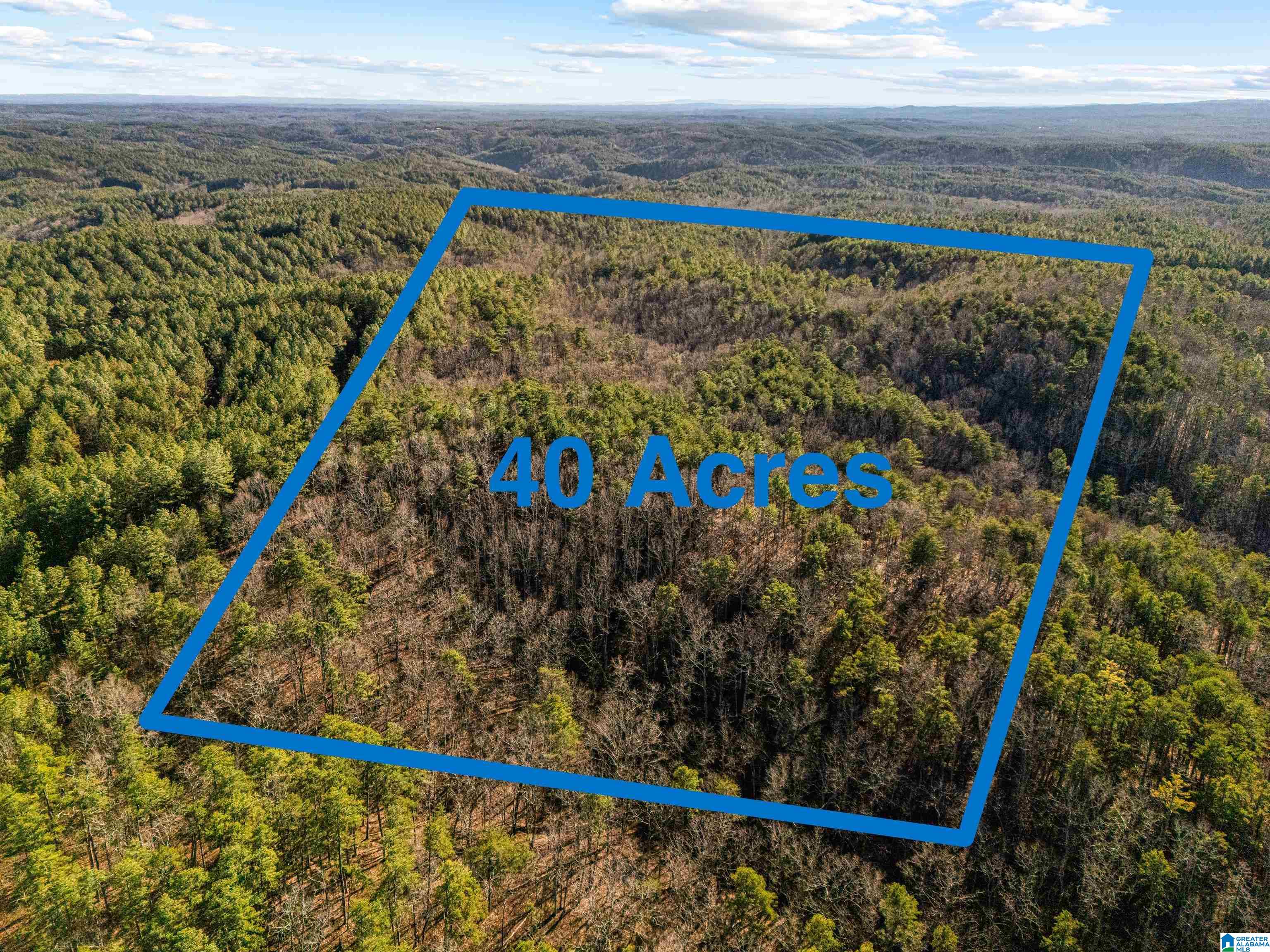 Homes for sale in Piedmont, AL | 40 Acres County Road 202, Piedmont, AL 36272 | MLS# 21440820