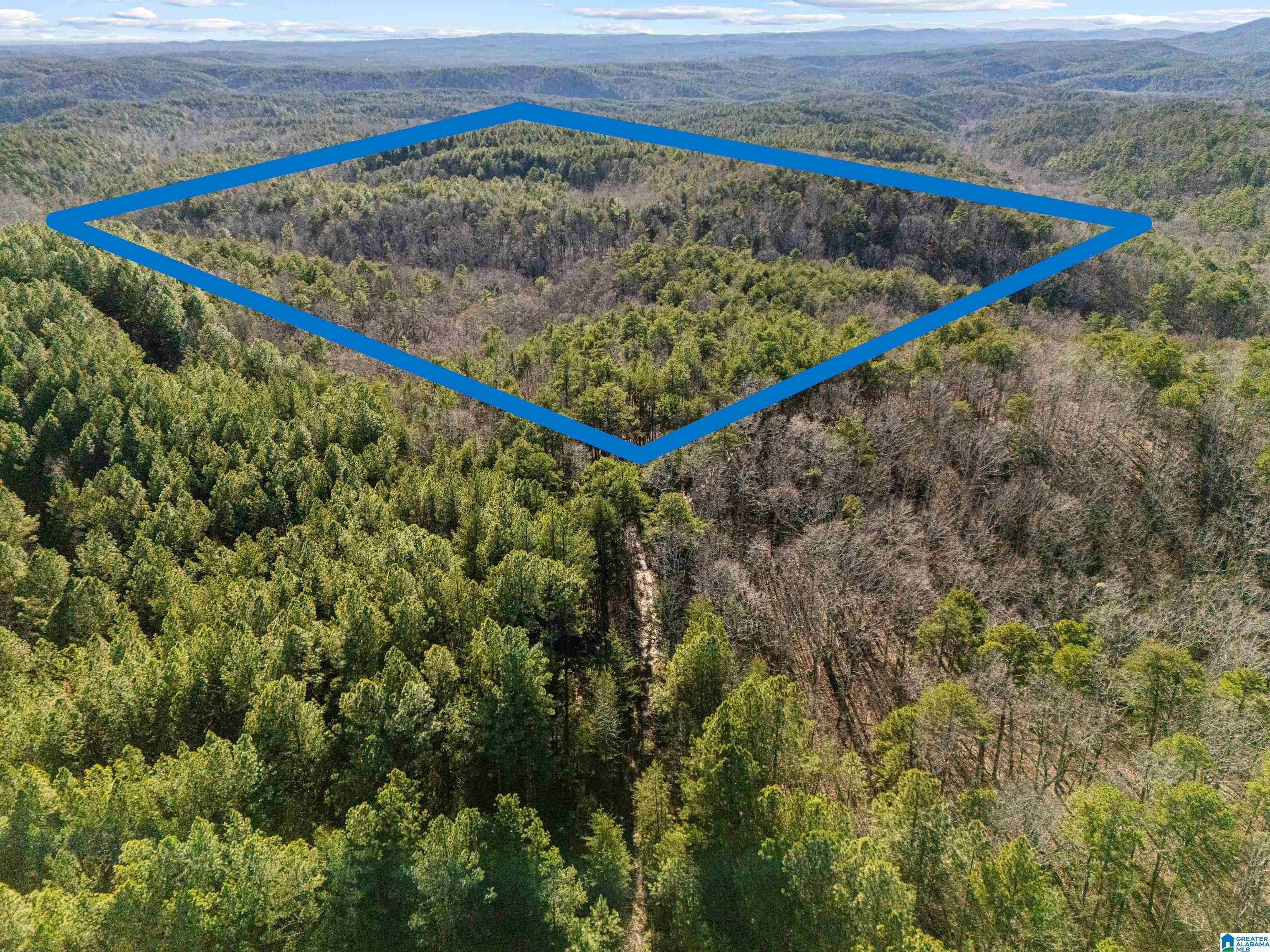 Homes for sale in Piedmont, AL | 40 Acres County Road 202, Piedmont, AL 36272 | MLS# 21440820