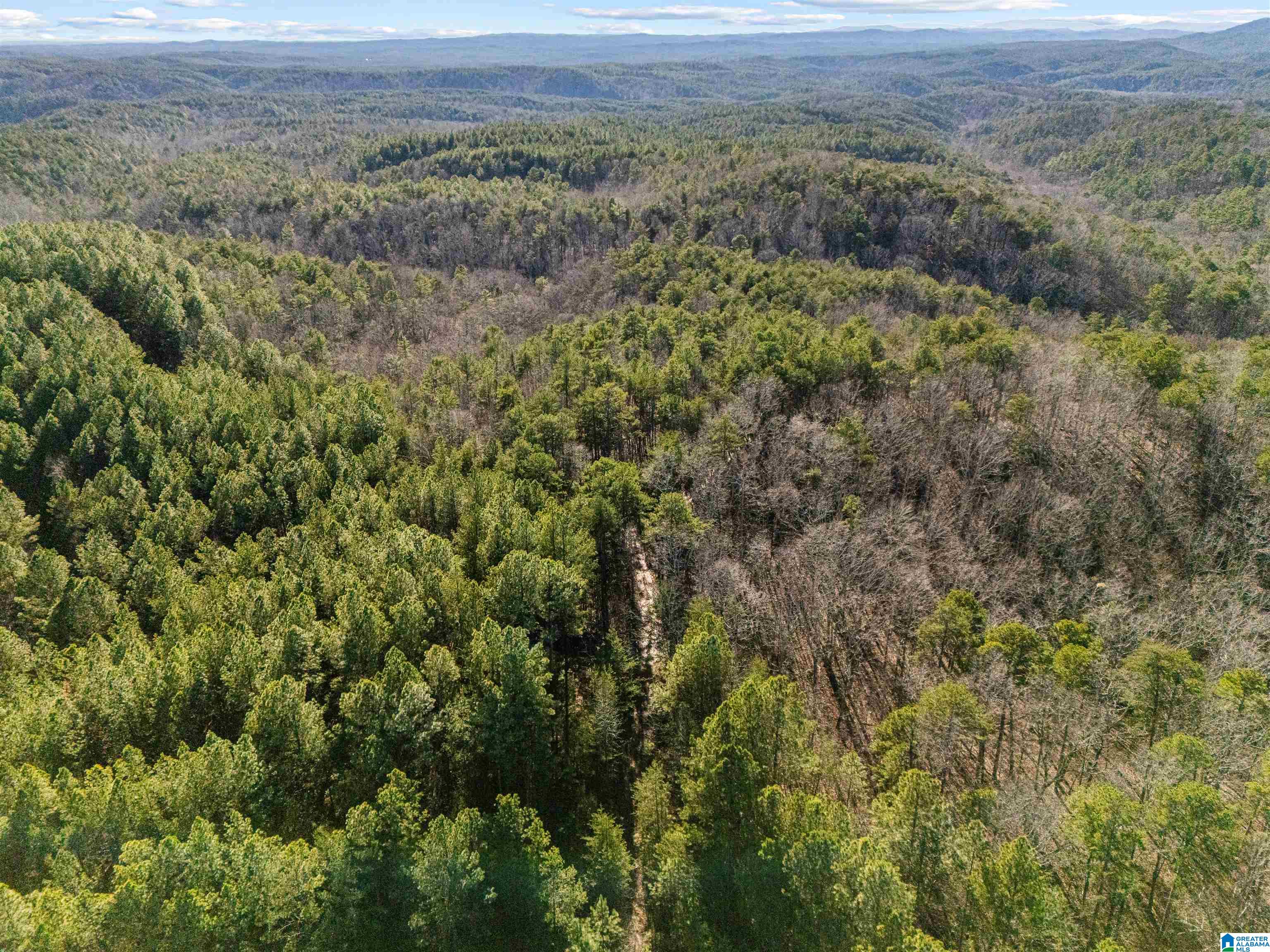 Homes for sale in Piedmont, AL | 40 Acres County Road 202, Piedmont, AL 36272 | MLS# 21440820