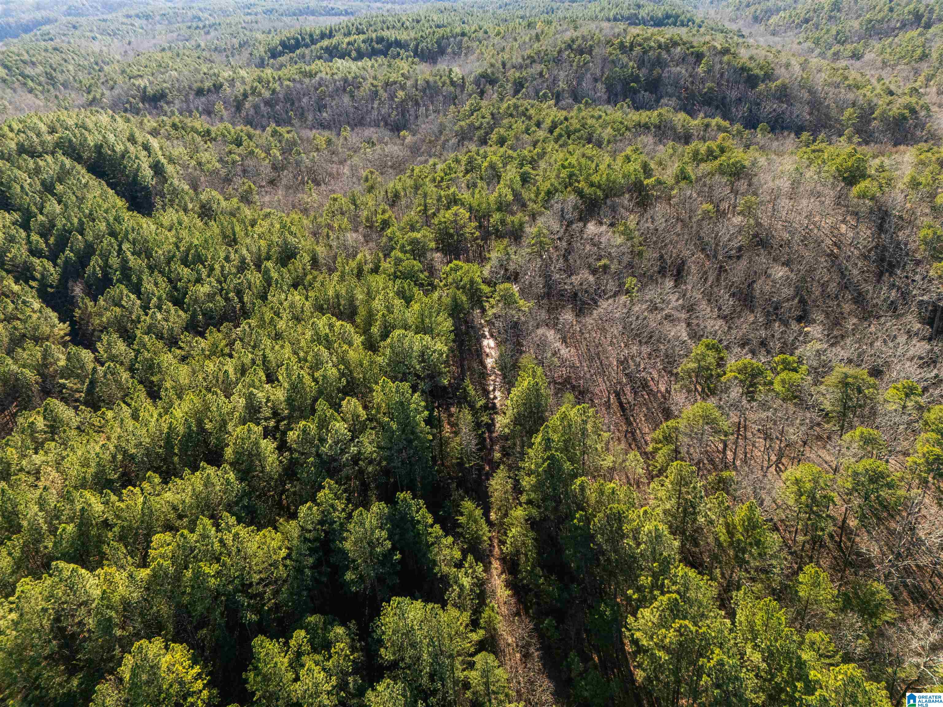 Homes for sale in Piedmont, AL | 40 Acres County Road 202, Piedmont, AL 36272 | MLS# 21440820