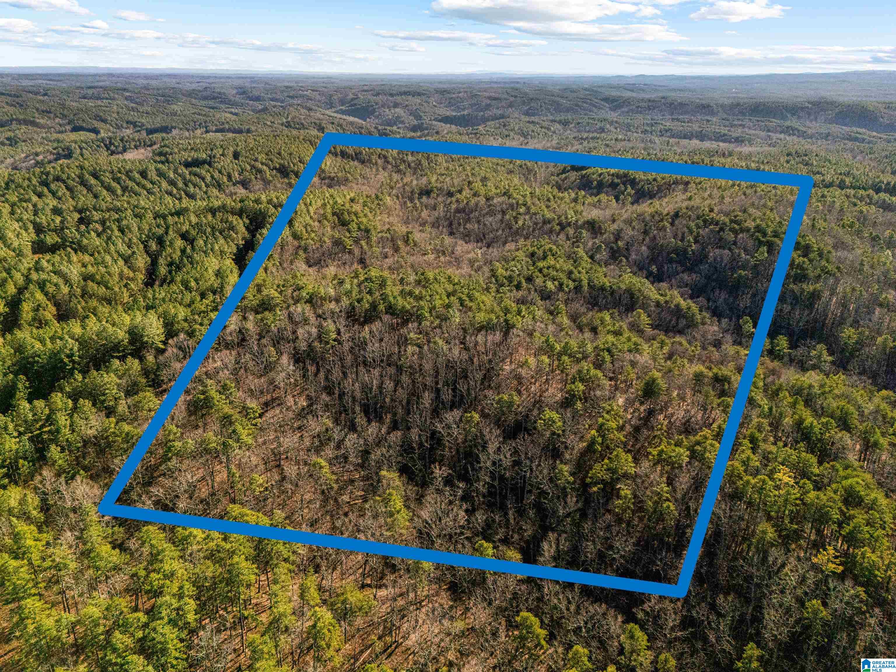 Homes for sale in Piedmont, AL | 40 Acres County Road 202, Piedmont, AL 36272 | MLS# 21440820