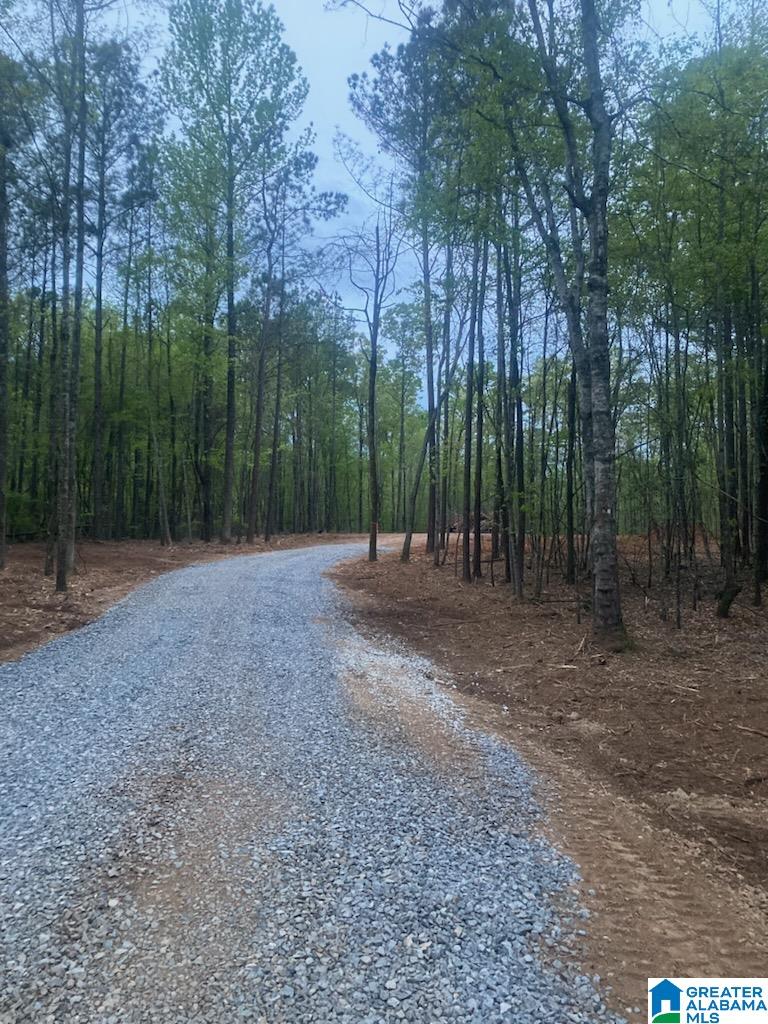 Homes for sale in Clanton, AL | 6101 Hwy 145, Clanton, AL 35046 | MLS# 21440840