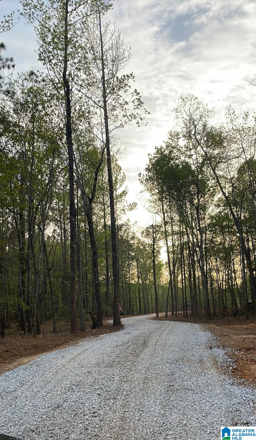 Homes for sale in Clanton, AL | 6101 Hwy 145, Clanton, AL 35046 | MLS# 21440840