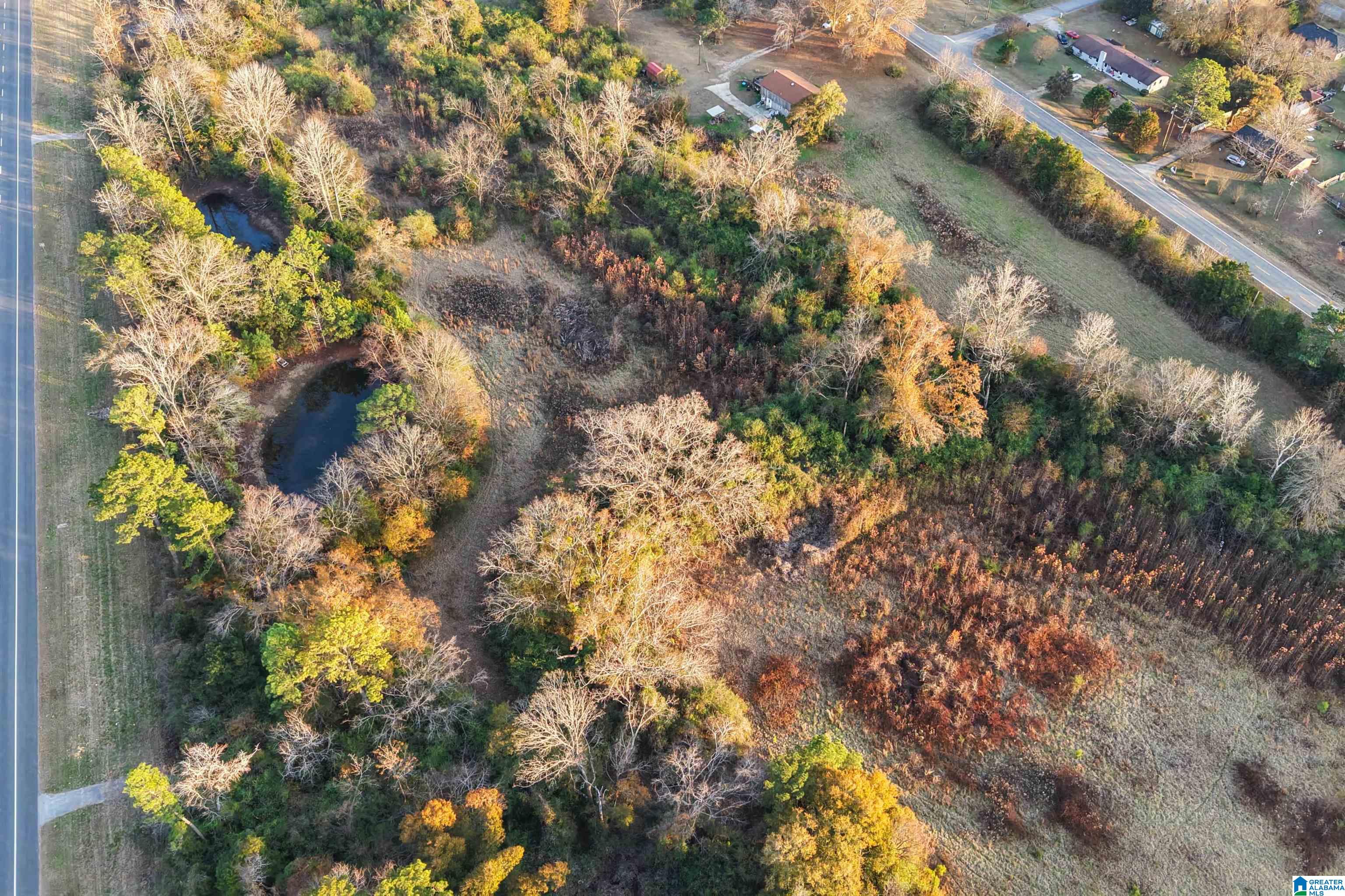 Homes for sale in Centreville, AL | 00 Montgomery Hwy, Centreville, AL 35042 | MLS# 21440857