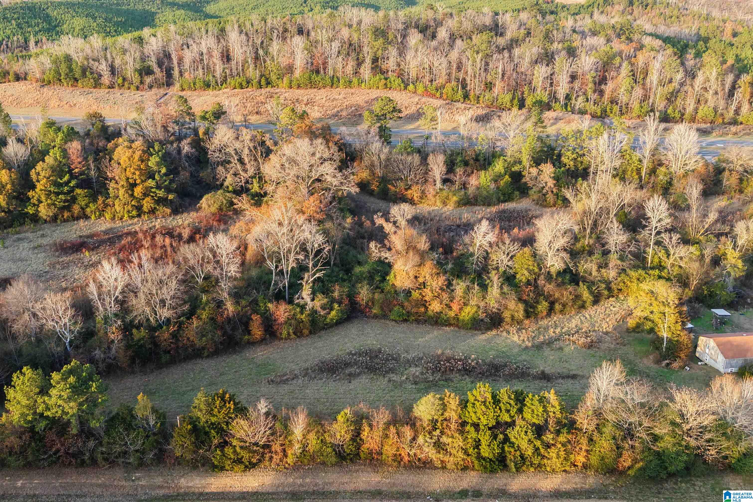 Homes for sale in Centreville, AL | 00 Montgomery Hwy, Centreville, AL 35042 | MLS# 21440857