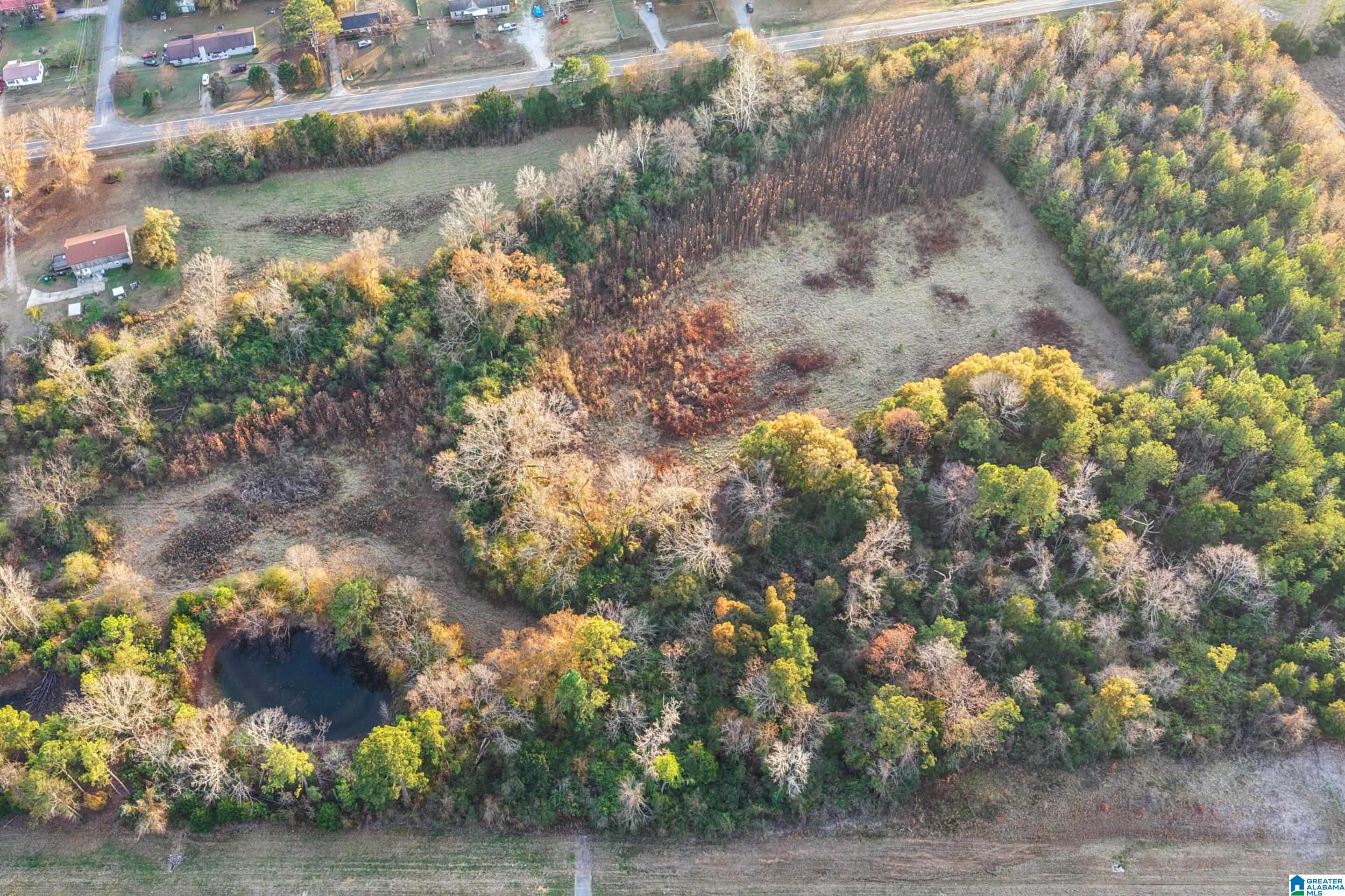 Homes for sale in Centreville, AL | 00 Montgomery Hwy, Centreville, AL 35042 | MLS# 21440857