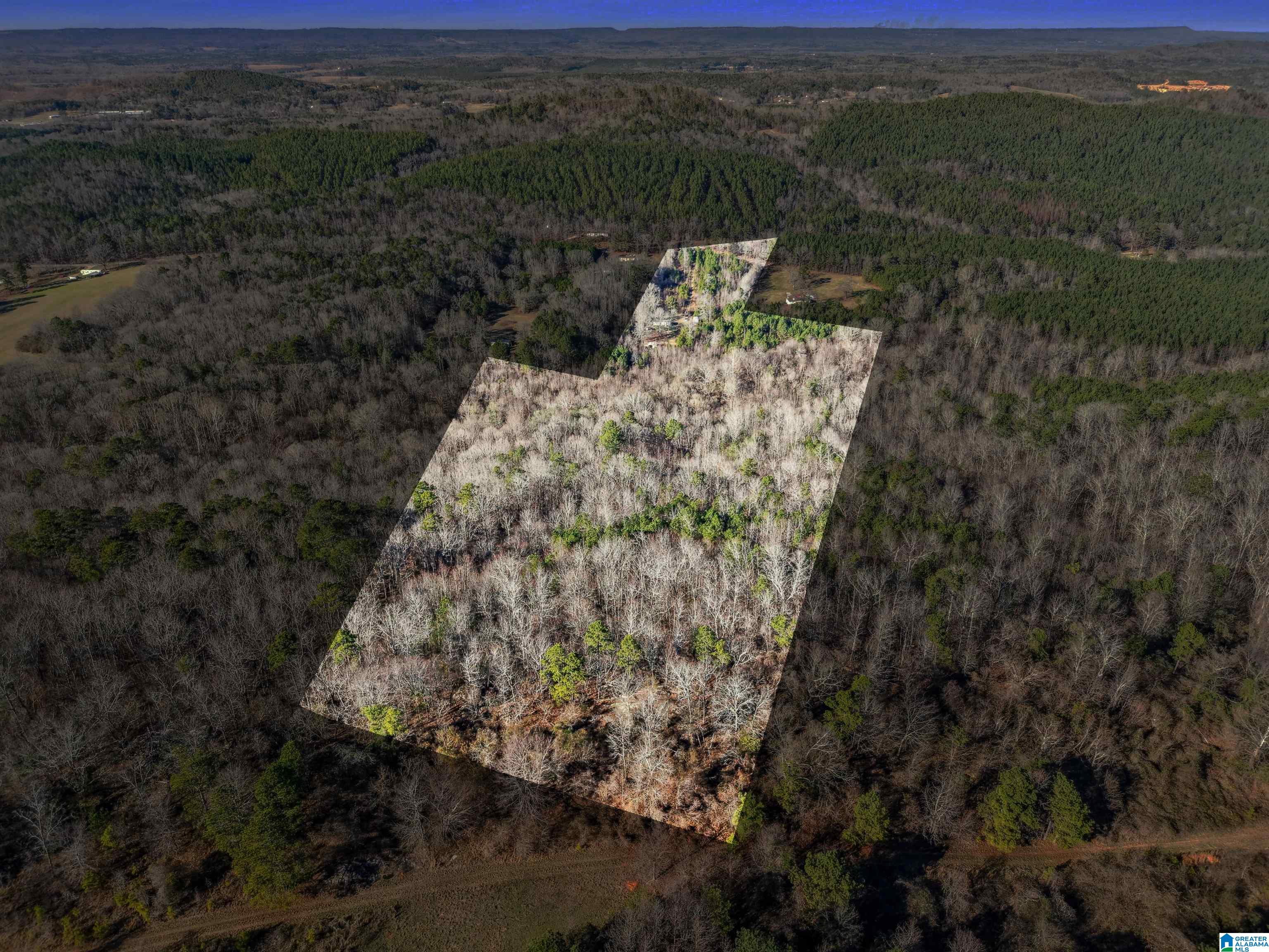 Homes for sale in Ashville, AL | 1500 Shoal Creek Road, Ashville, AL 35953 | MLS# 21440922