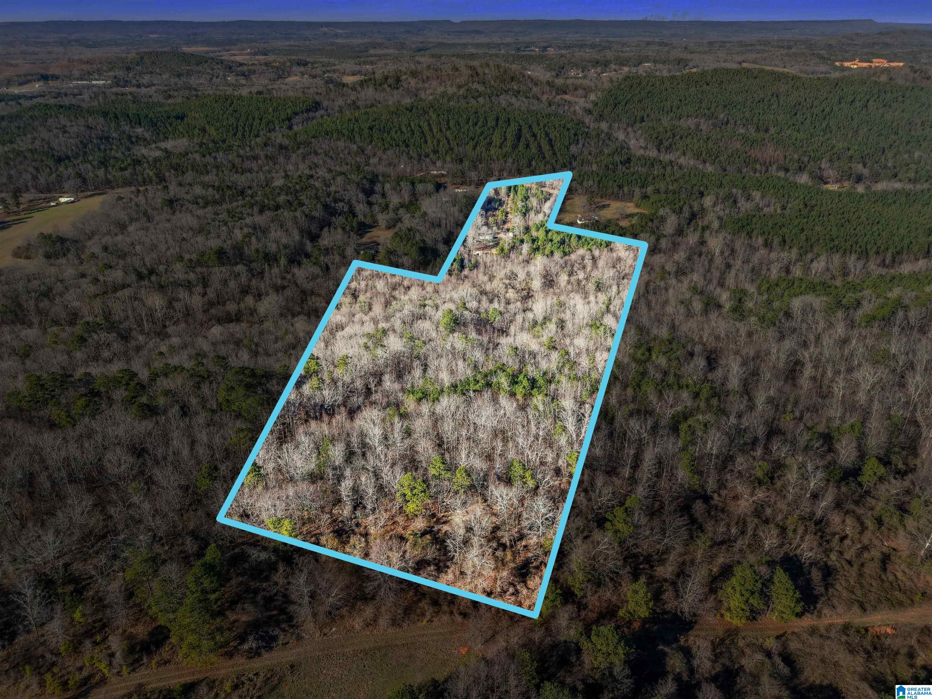 Homes for sale in Ashville, AL | 1500 Shoal Creek Road, Ashville, AL 35953 | MLS# 21440922