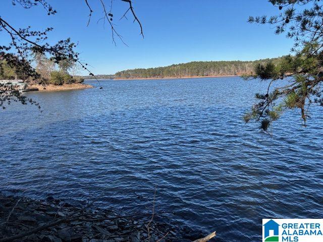 Homes for sale in Wedowee, AL | 0 Aqua Dr, Wedowee, AL 36278 | MLS# 21440928