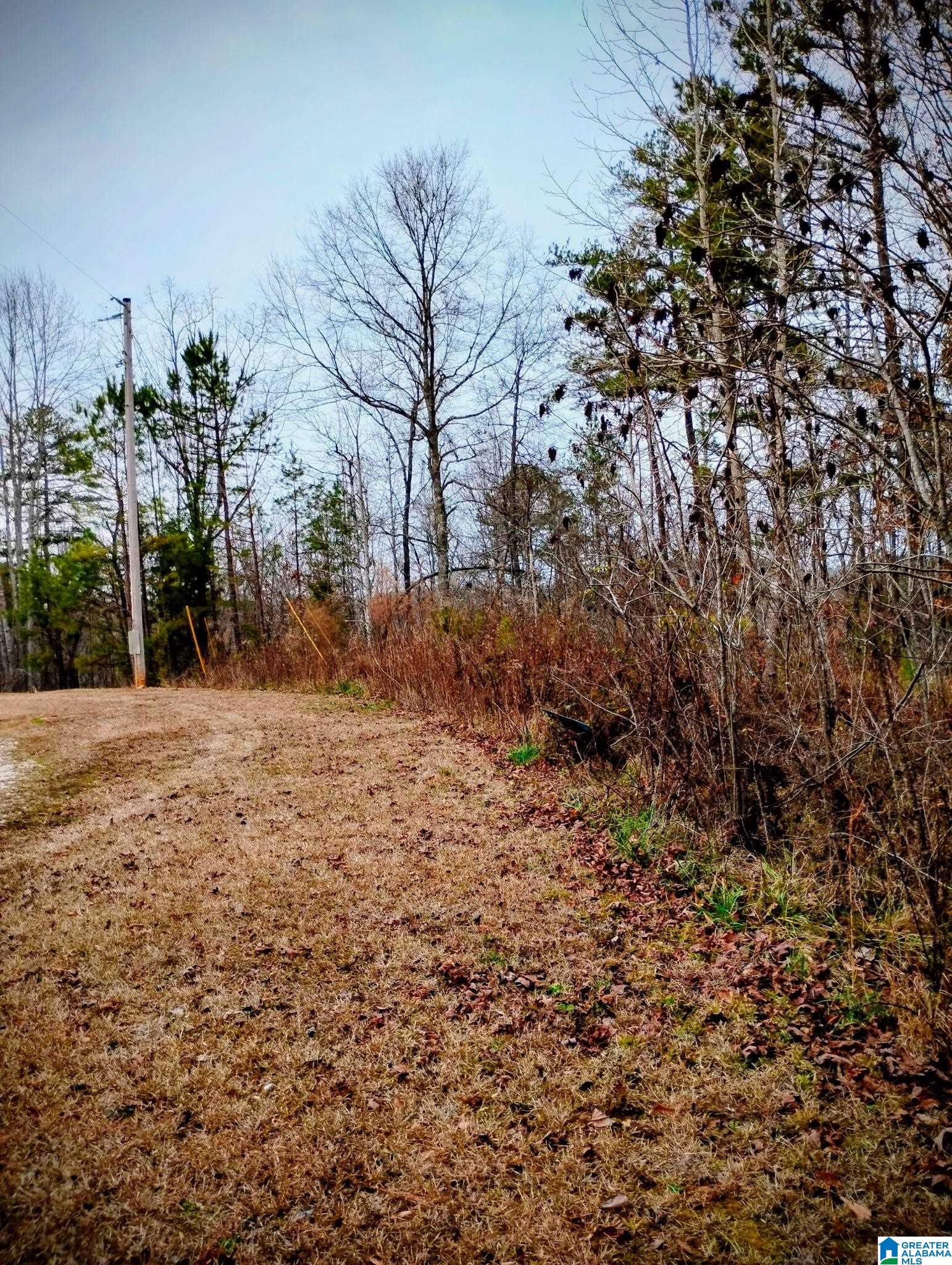 Homes for sale in Wedowee, AL | 17A River Breeze, Wedowee, AL 36278 | MLS# 21440936