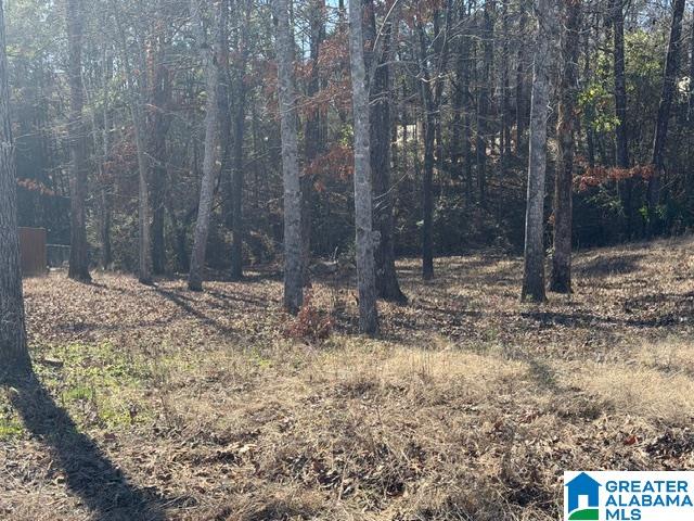 Homes for sale in Alabaster, AL | 316 Sterling Manor Circle, Alabaster, AL 35007 | MLS# 21440963