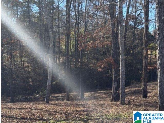 Homes for sale in Alabaster, AL | 316 Sterling Manor Circle, Alabaster, AL 35007 | MLS# 21440963