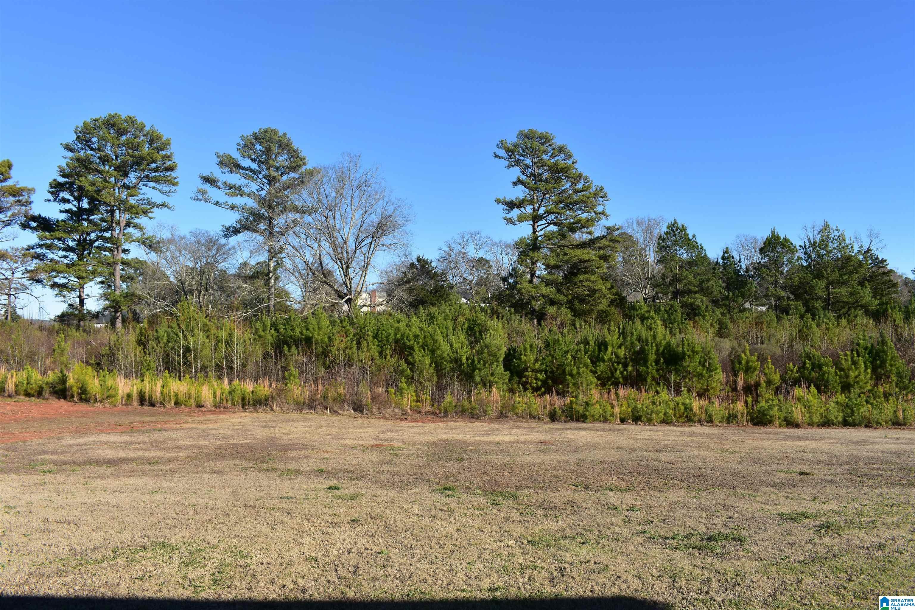 Homes for sale in Jacksonville, AL | 1514 Valley Brook Dr Southwest Sw, Jacksonville, AL 36265 | MLS# 21440995