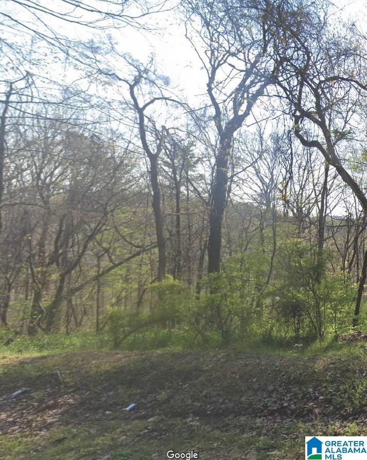 Homes for sale in Pinson, AL | 4601 Silver Lake Road, Pinson, AL 35126 | MLS# 21441007