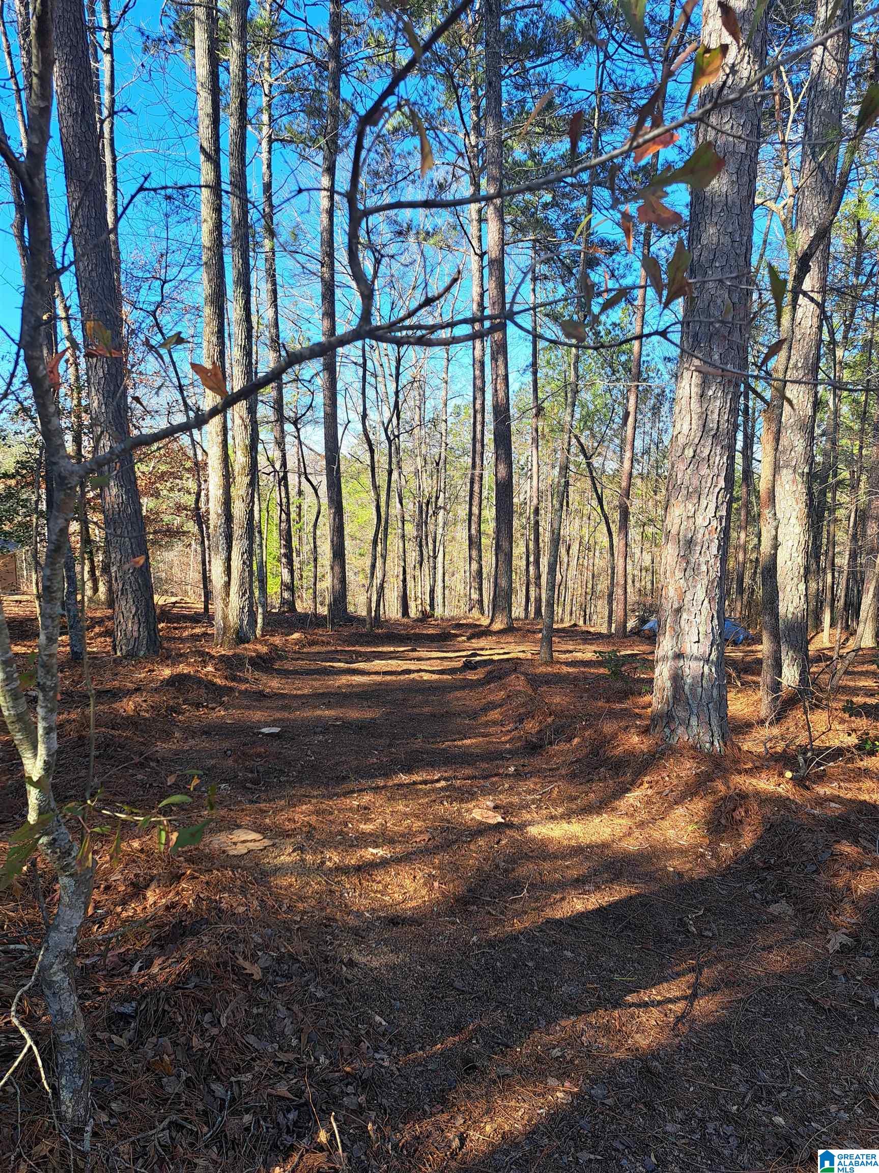 Homes for sale in Lineville, AL | 210 Foster Cove Dr, Lineville, AL 36266 | MLS# 21441046