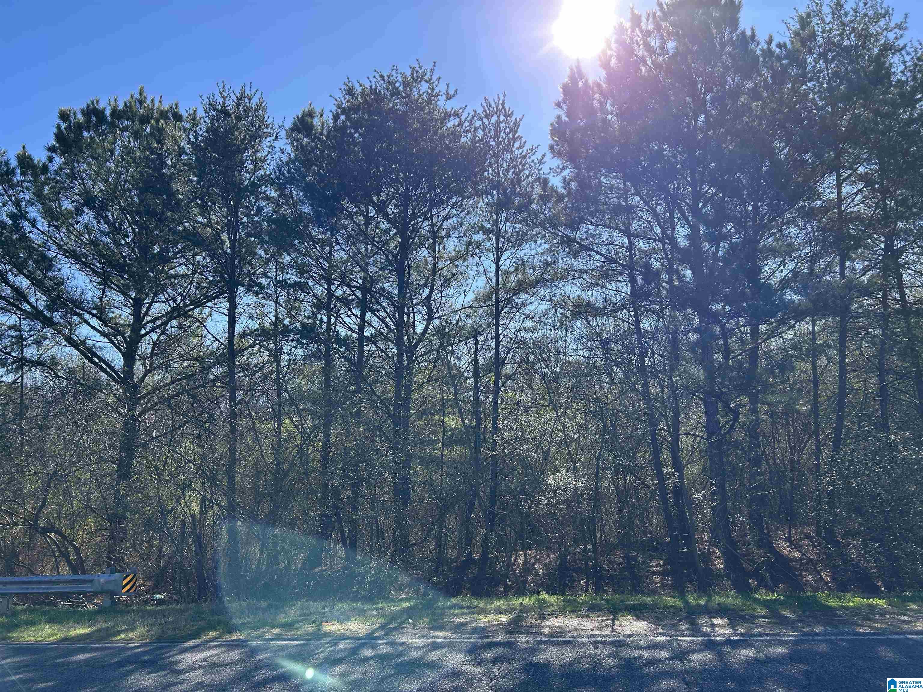 Photo 3 of Land for sale at 2581 Roberta Way, Birmingham, AL 35214 | MLS# 21441050 | Listing updated on 2026-01-16