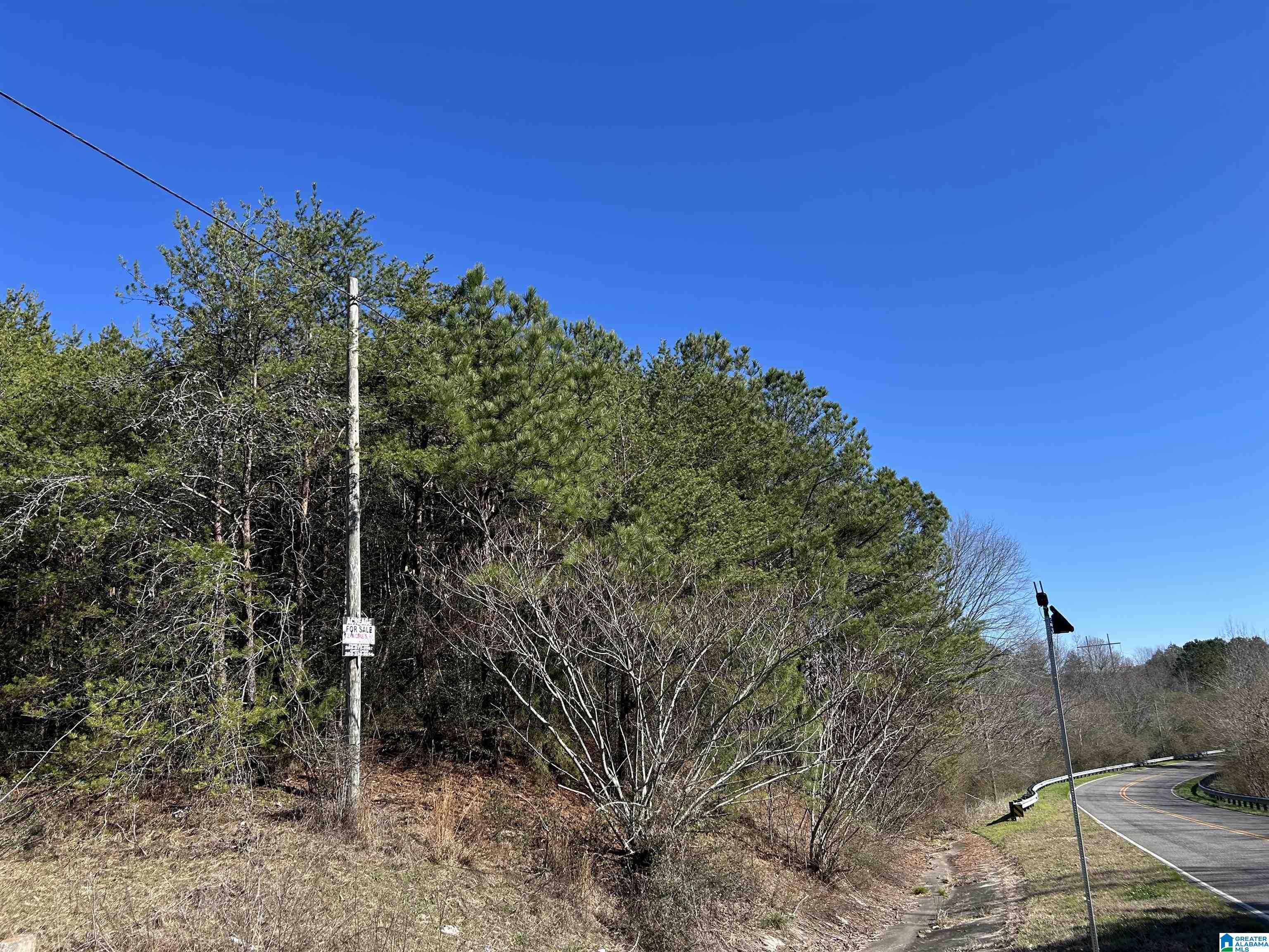 Photo 3 of Land for sale at 2581 Roberta Way, Birmingham, AL 35214 | MLS# 21441050 | Listing updated on 2026-01-16
