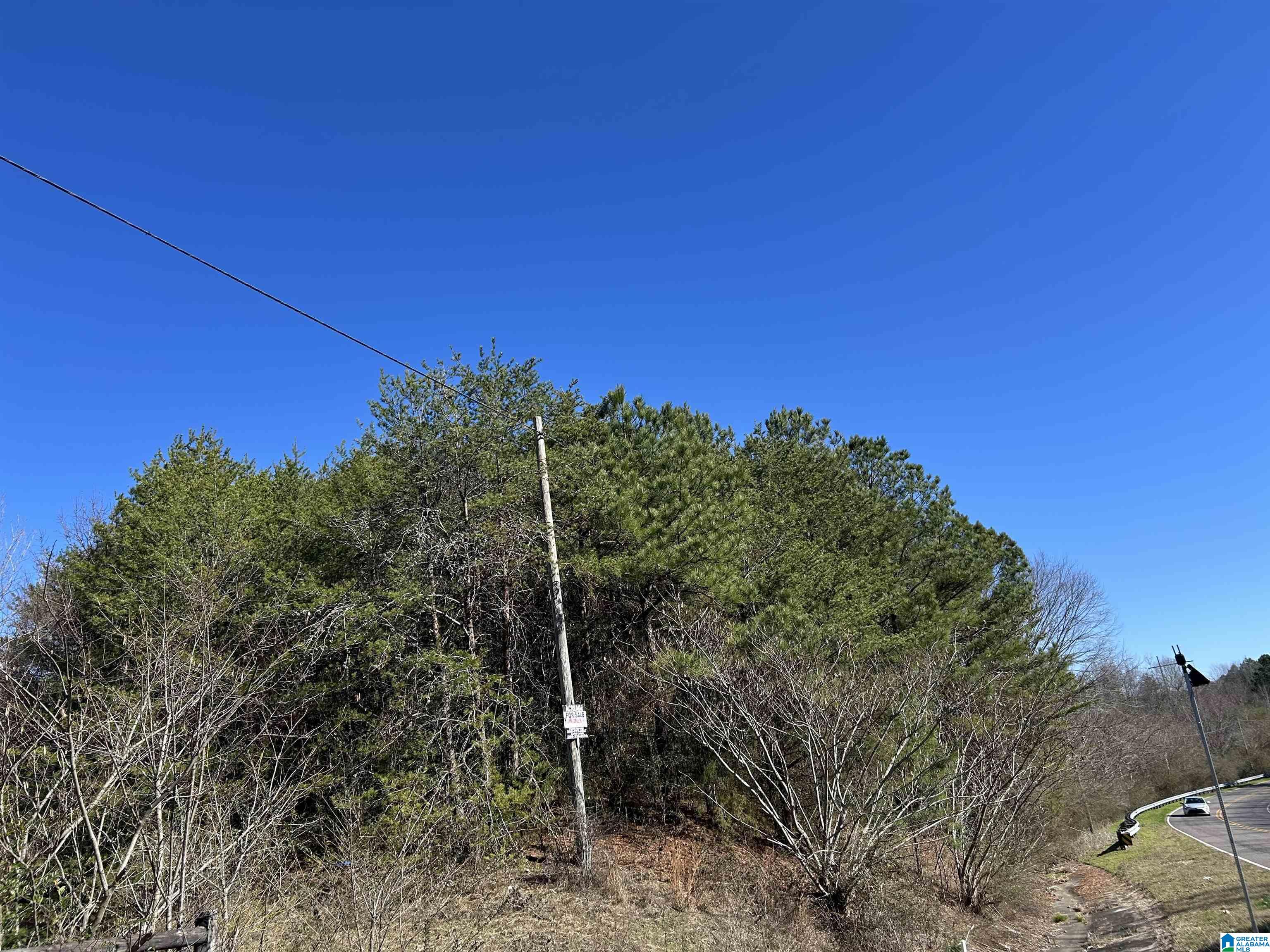 Photo 4 of Land for sale at 2581 Roberta Way, Birmingham, AL 35214 | MLS# 21441050 | Listing updated on 2026-01-16
