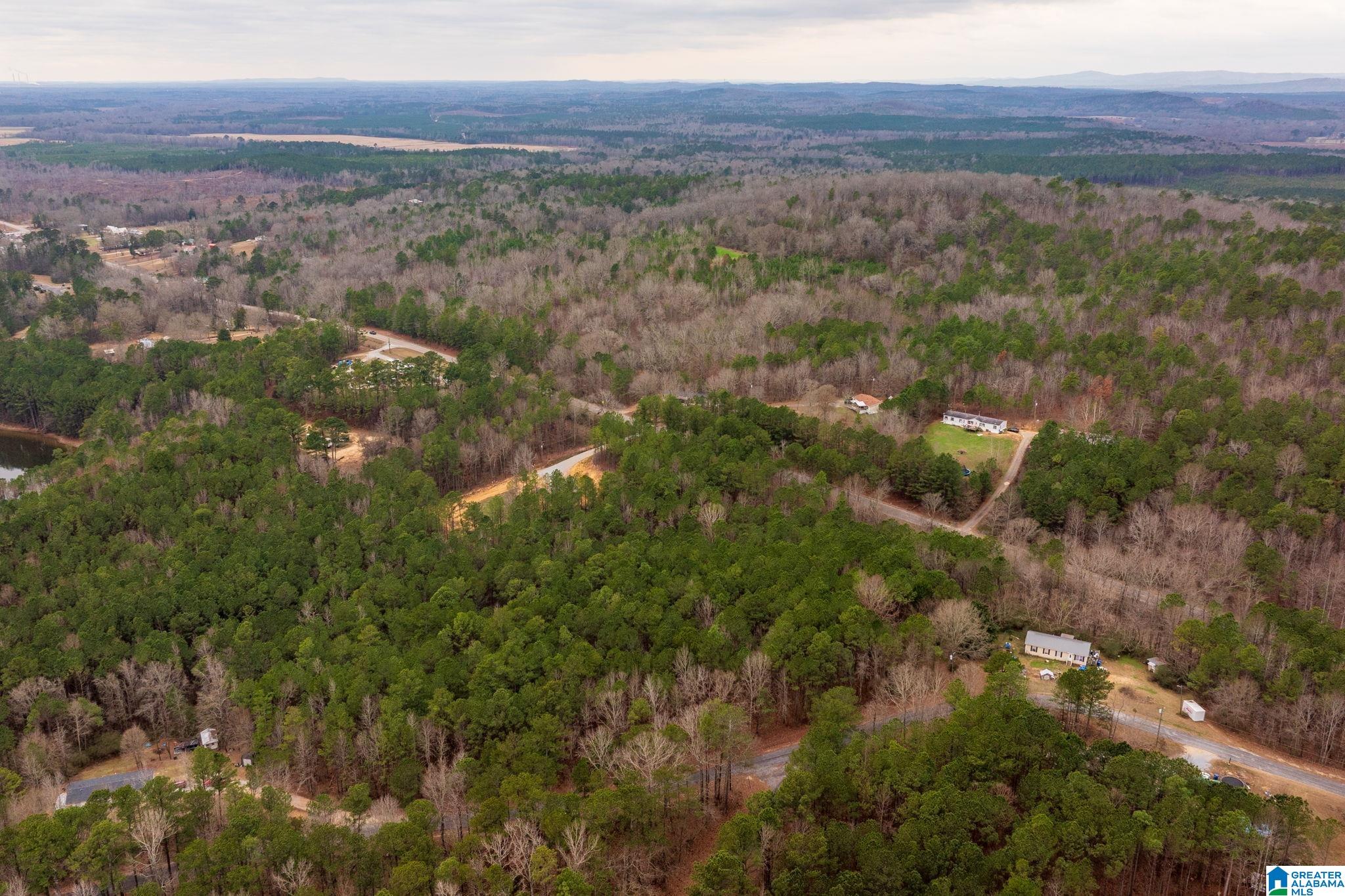 Homes for sale in Vincent, AL | 0 Frankies Road, Vincent, AL 35178 | MLS# 21441054