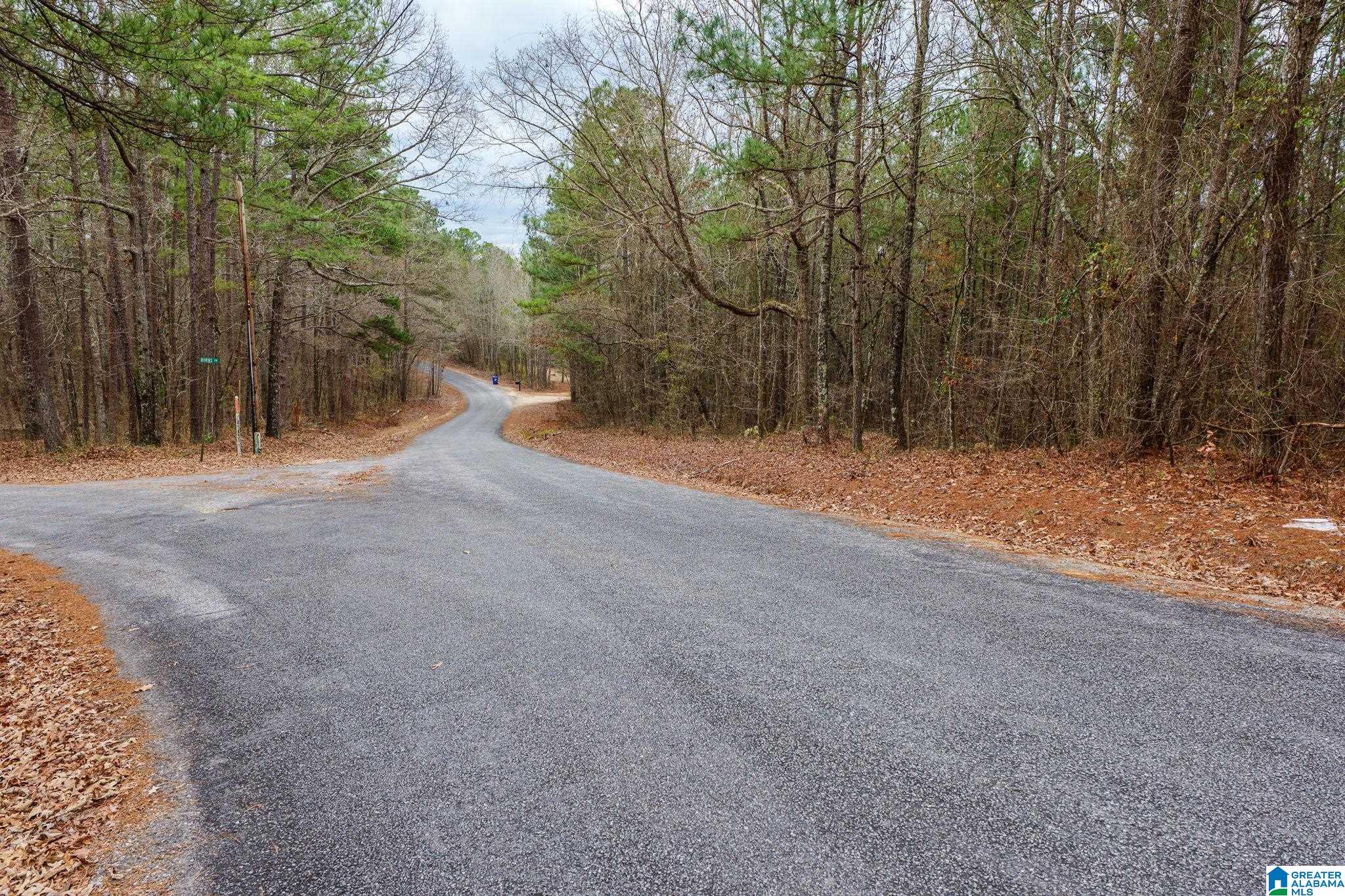 Homes for sale in Vincent, AL | 0 Frankies Road, Vincent, AL 35178 | MLS# 21441054