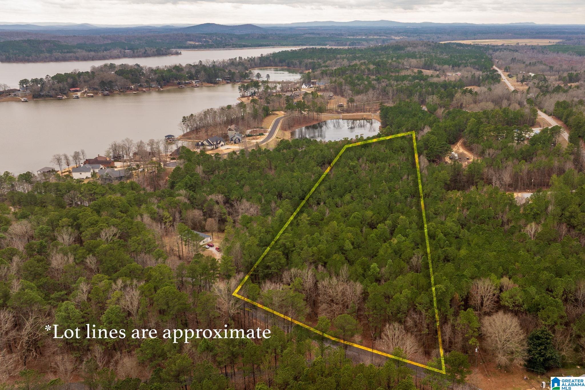 Homes for sale in Vincent, AL | 0 Frankies Road, Vincent, AL 35178 | MLS# 21441054