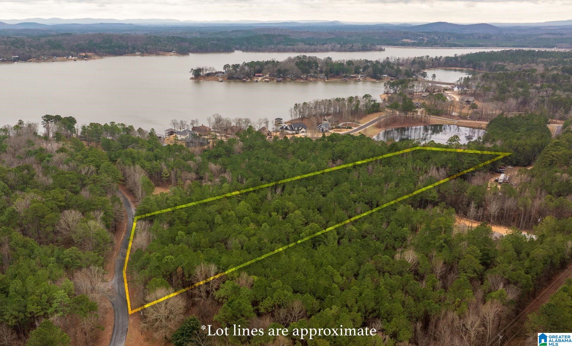 Homes for sale in Vincent, AL | 0 Frankies Road, Vincent, AL 35178 | MLS# 21441054