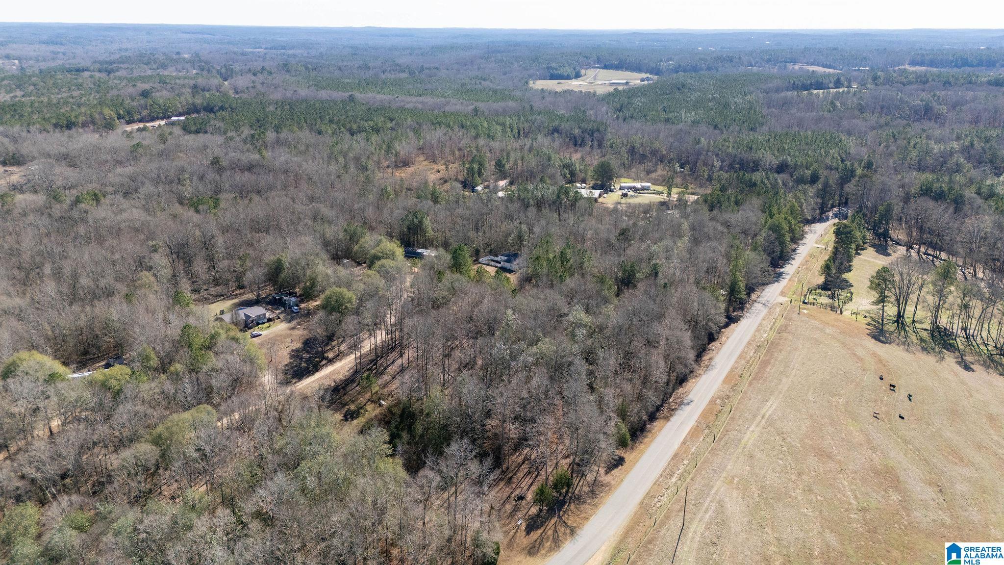 Homes for sale in Tuscaloosa, AL | 0 Campground Road, Tuscaloosa, AL 35475 | MLS# 21441071