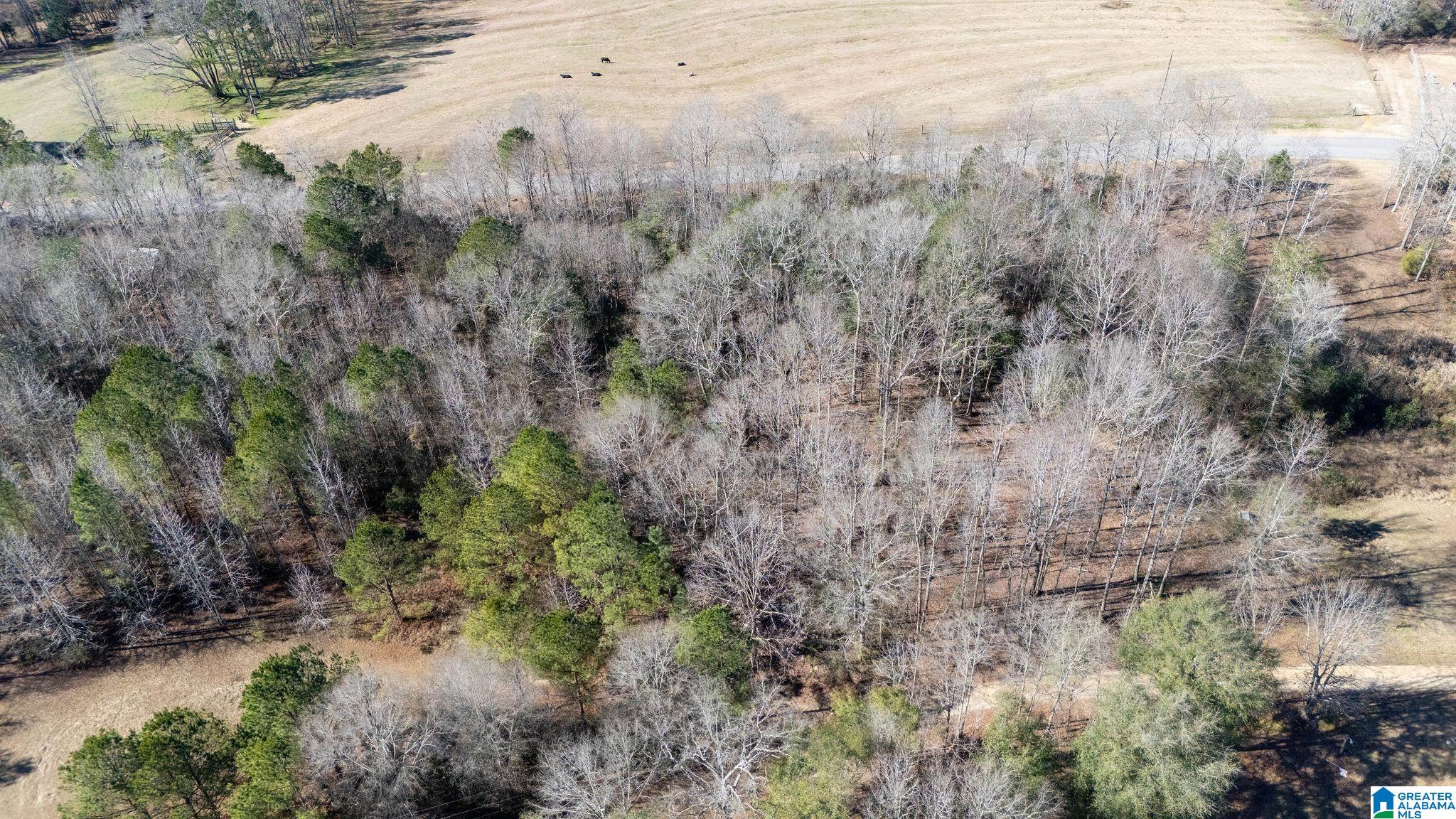 Homes for sale in Tuscaloosa, AL | 0 Campground Road, Tuscaloosa, AL 35475 | MLS# 21441071