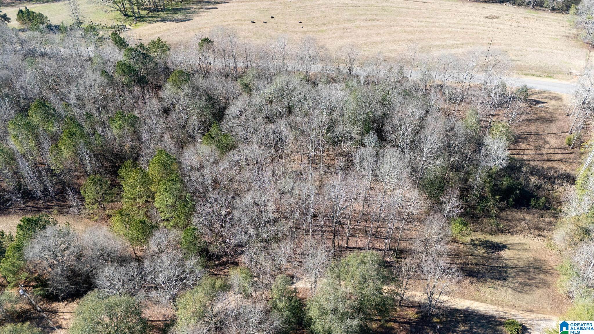 Homes for sale in Tuscaloosa, AL | 0 Campground Road, Tuscaloosa, AL 35475 | MLS# 21441071