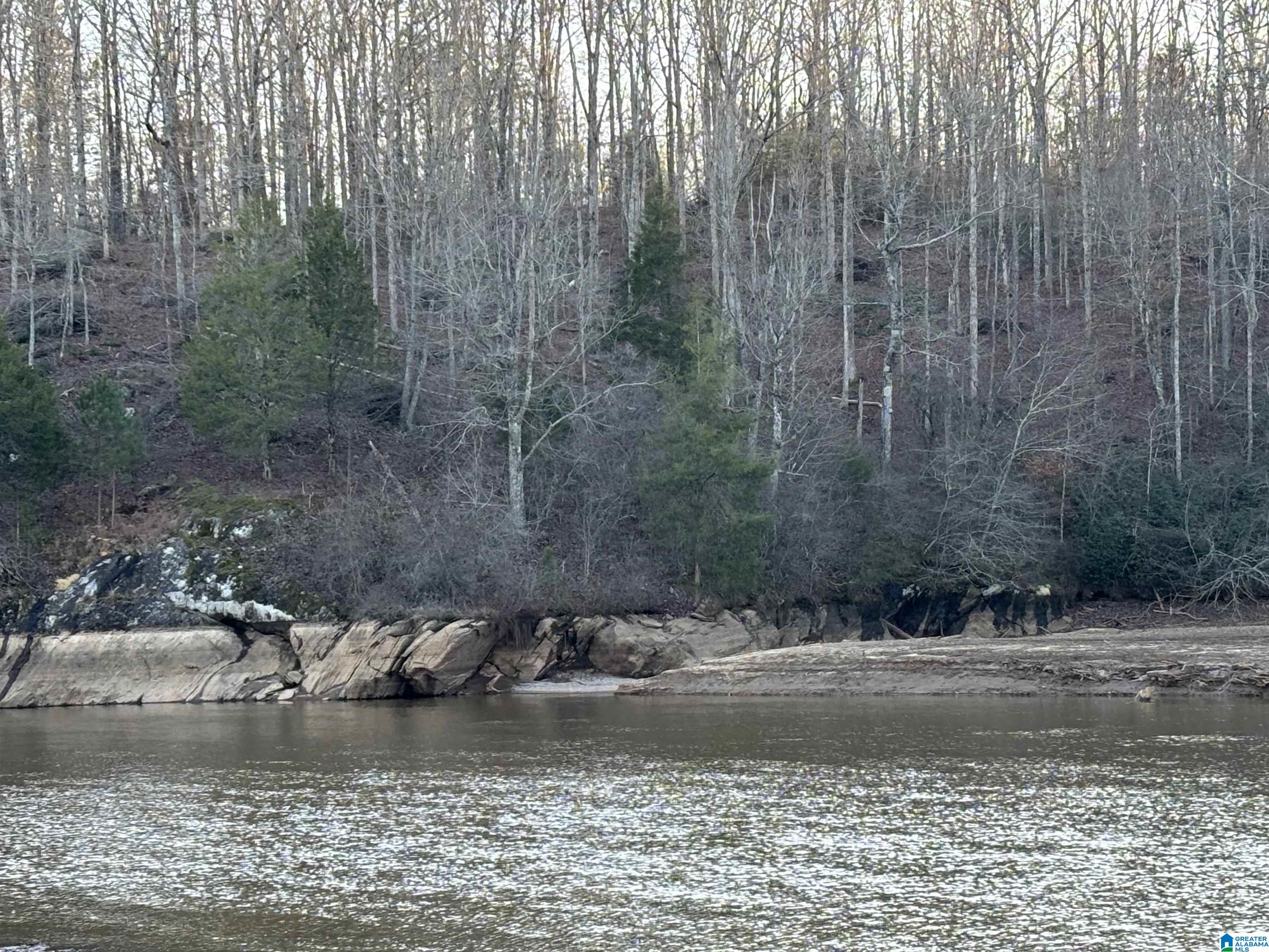 Homes for sale in Woodland, AL | Lot 7 County Road 499, Woodland, AL 36280 | MLS# 21441076