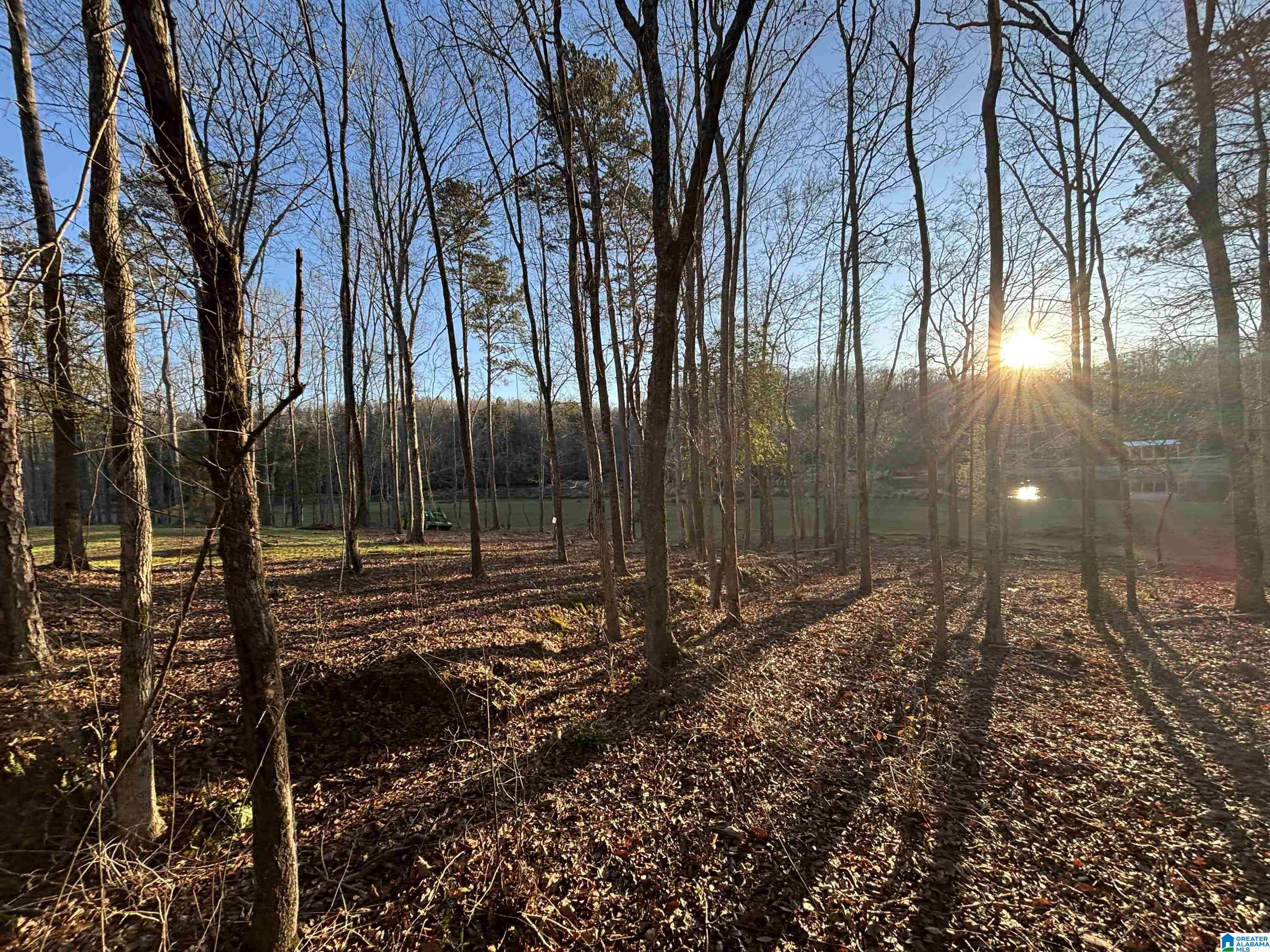 Homes for sale in Woodland, AL | Lot 7 County Road 499, Woodland, AL 36280 | MLS# 21441076