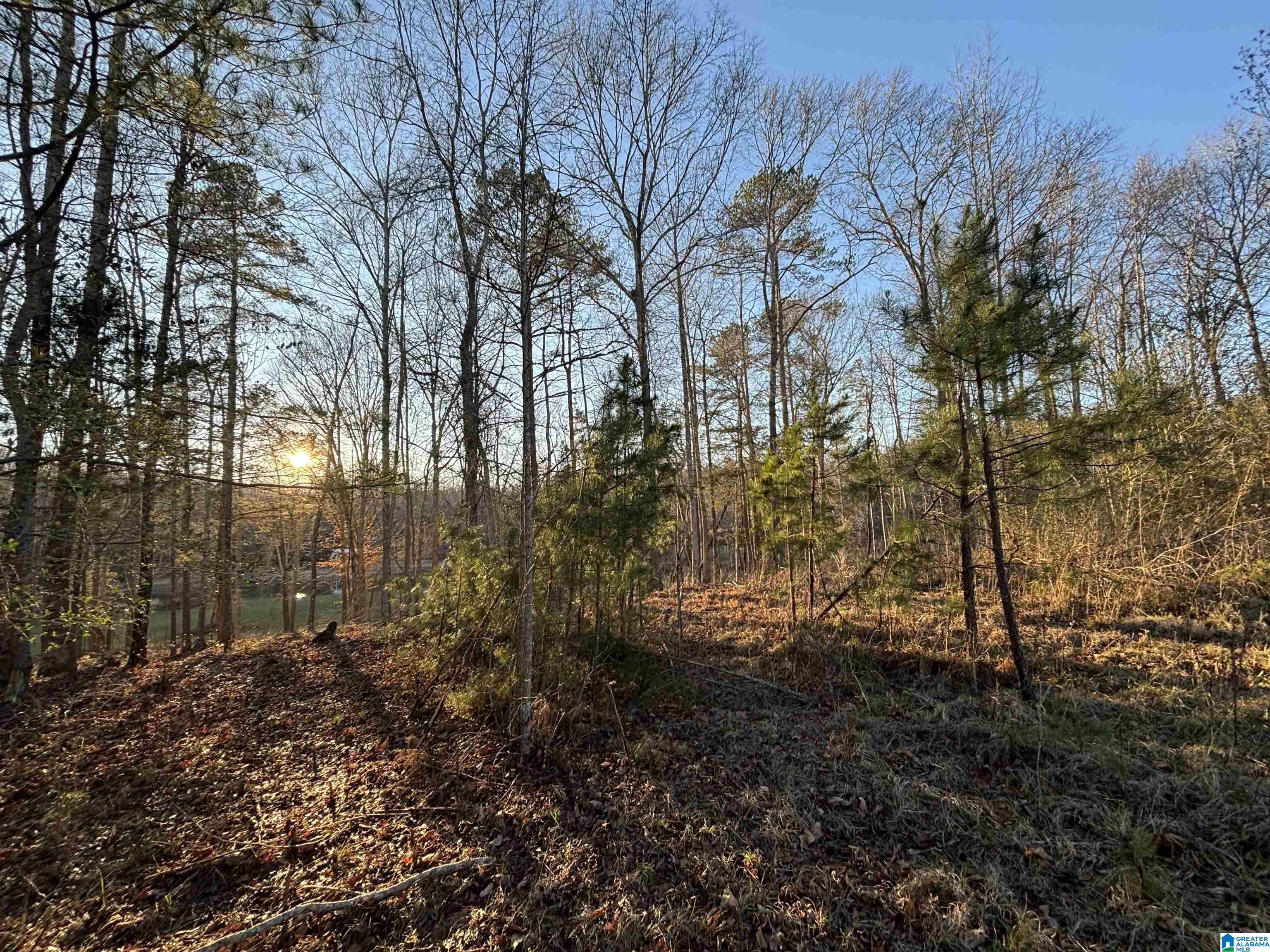 Homes for sale in Woodland, AL | Lot 7 County Road 499, Woodland, AL 36280 | MLS# 21441076