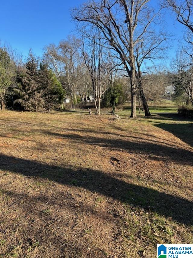 2nd image of 7809 2nd Avenue S, Birmingham, AL 35206 | MLS# 21441113