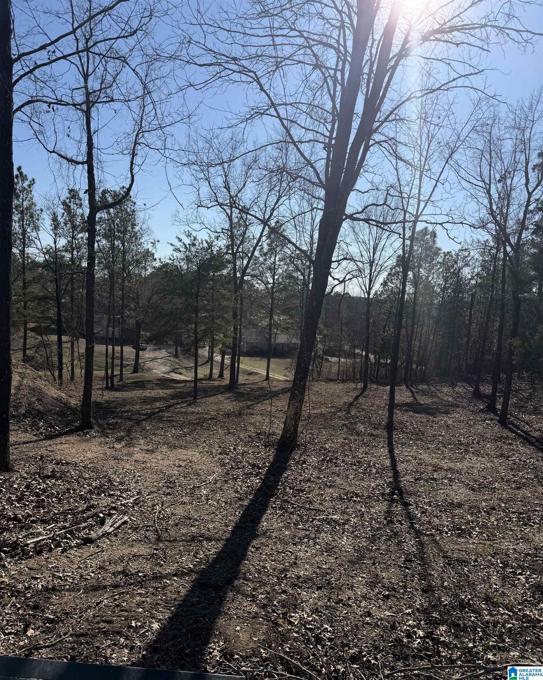 Homes for sale in Clanton, AL | 688 County Road 230, Clanton, AL 35171 | MLS# 21441146