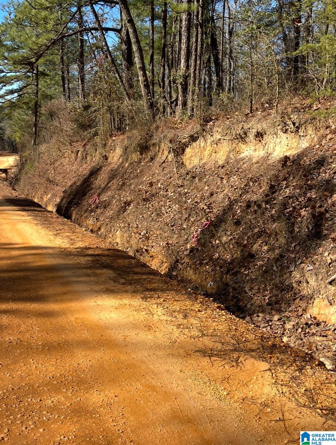 Homes for sale in Clanton, AL | 688 County Road 230, Clanton, AL 35171 | MLS# 21441146