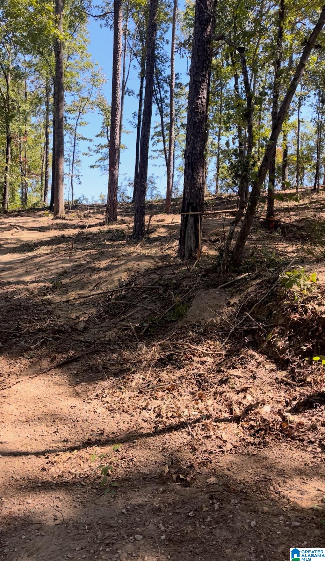 Homes for sale in Clanton, AL | 688 County Road 230, Clanton, AL 35171 | MLS# 21441146