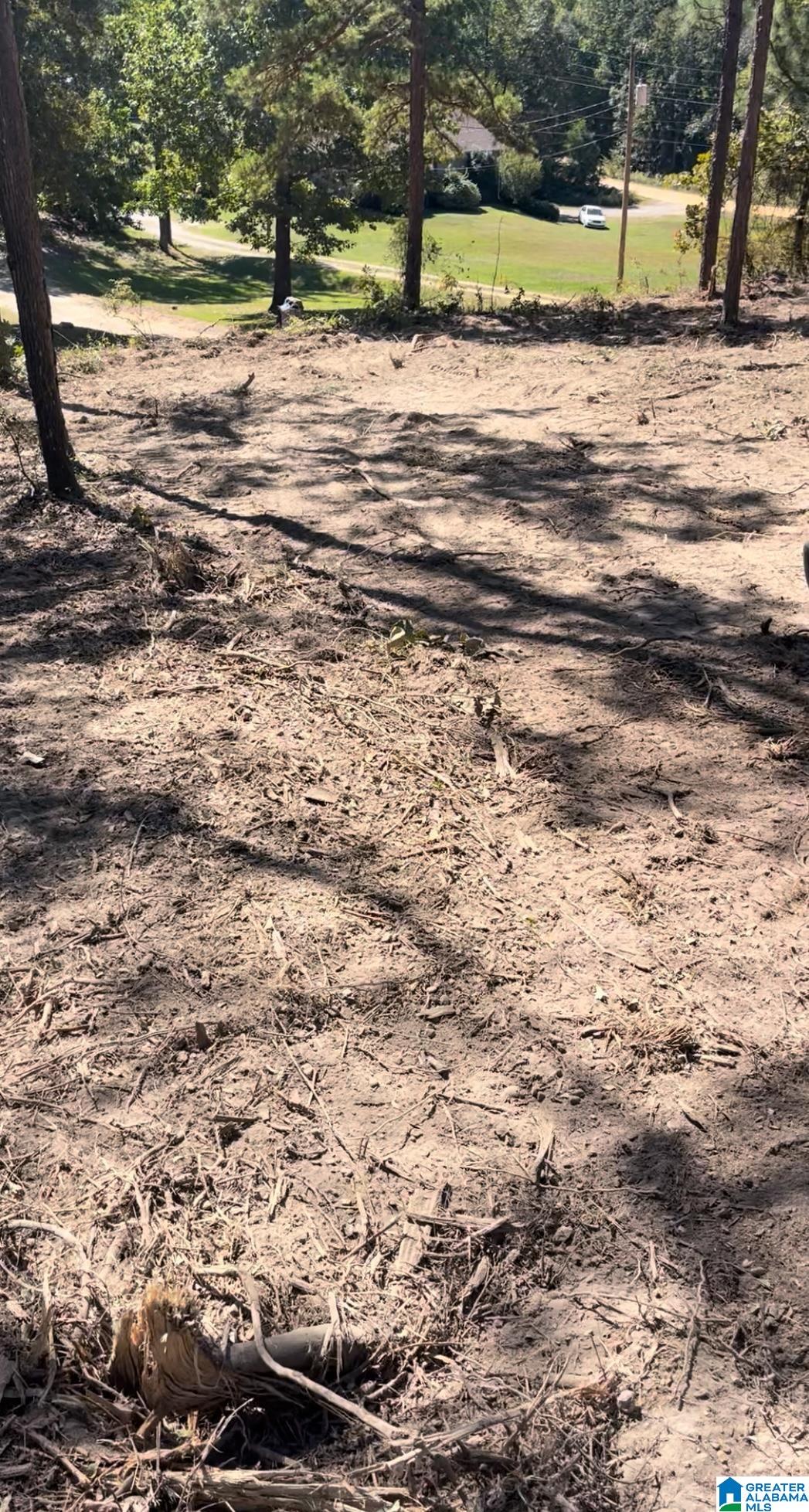 Homes for sale in Clanton, AL | 688 County Road 230, Clanton, AL 35171 | MLS# 21441146