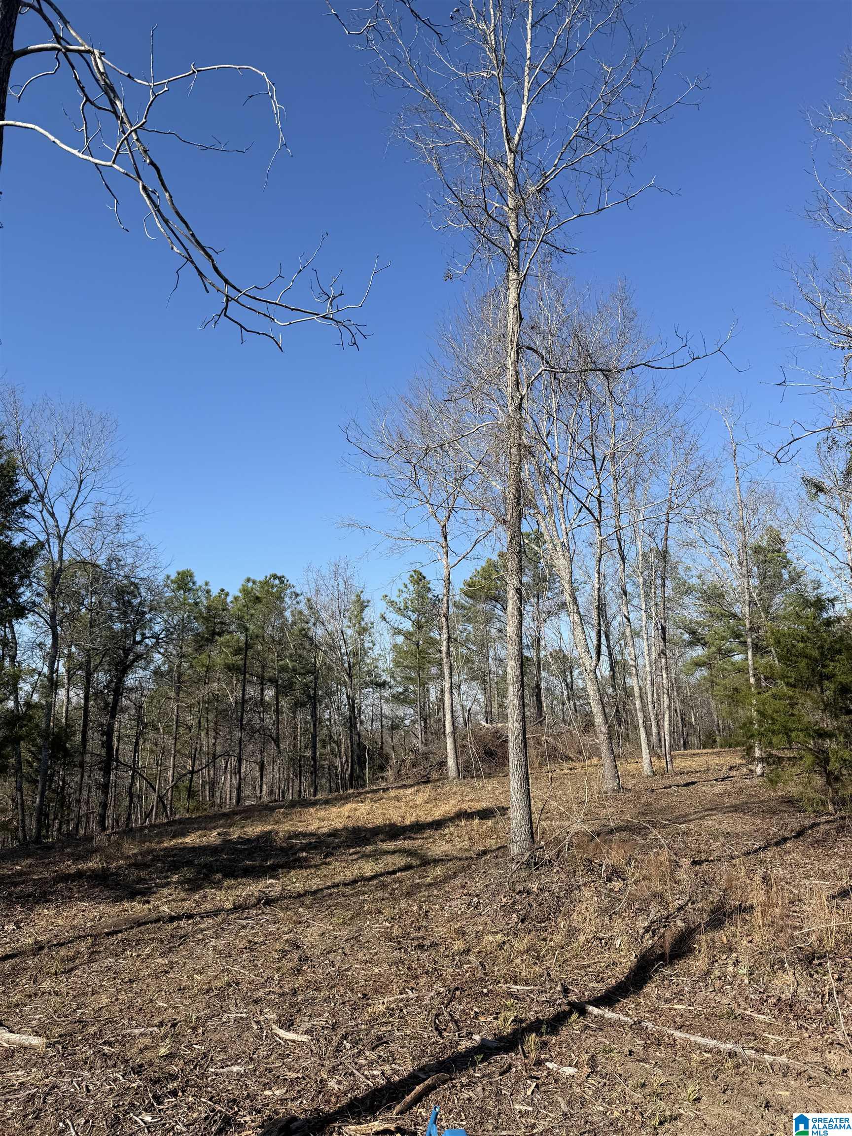 Homes for sale in Clanton, AL | 688 County Road 230, Clanton, AL 35171 | MLS# 21441146