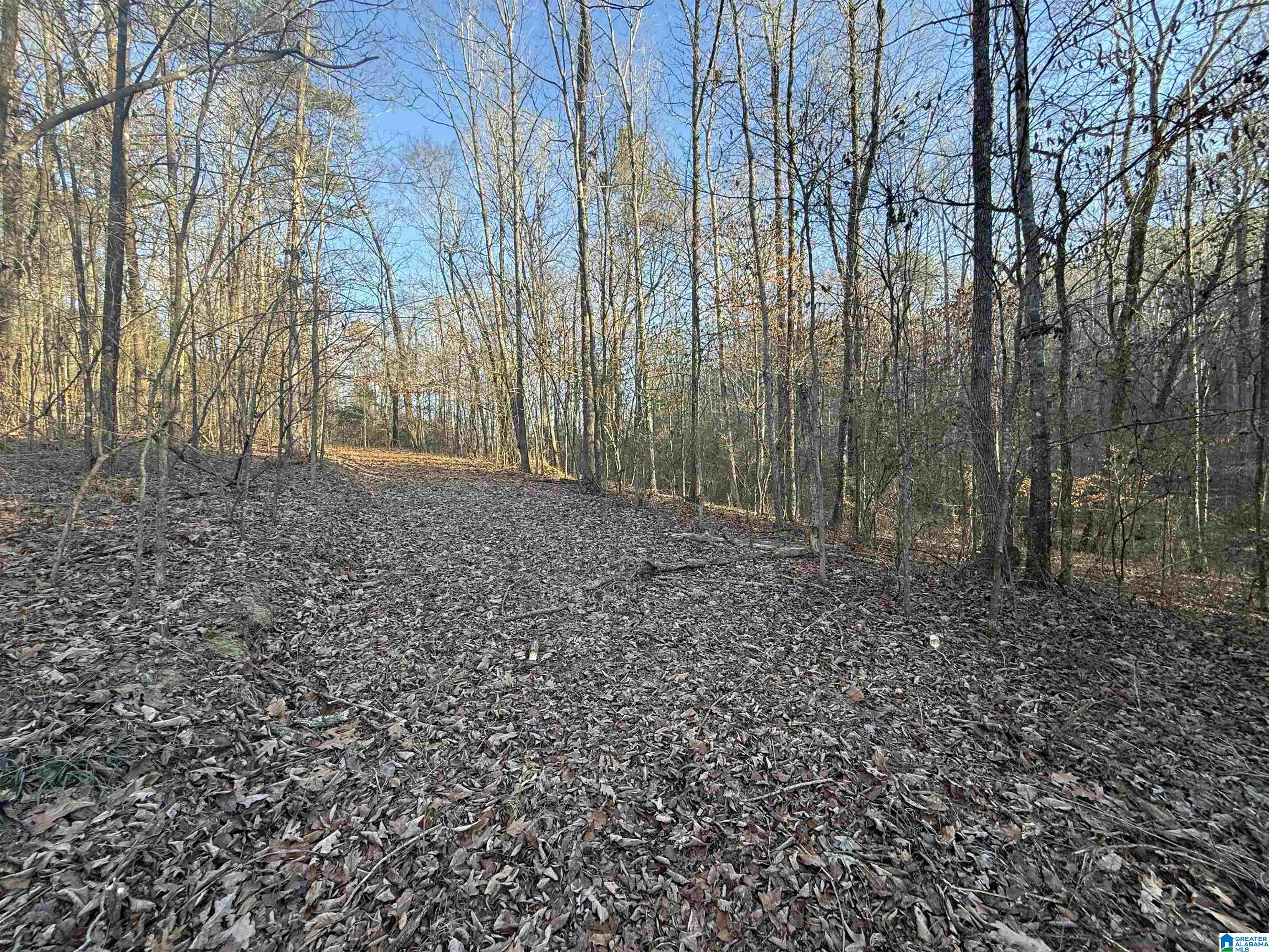 Homes for sale in Dora, AL | 4115 Humber Road, Dora, AL 35062 | MLS# 21441181