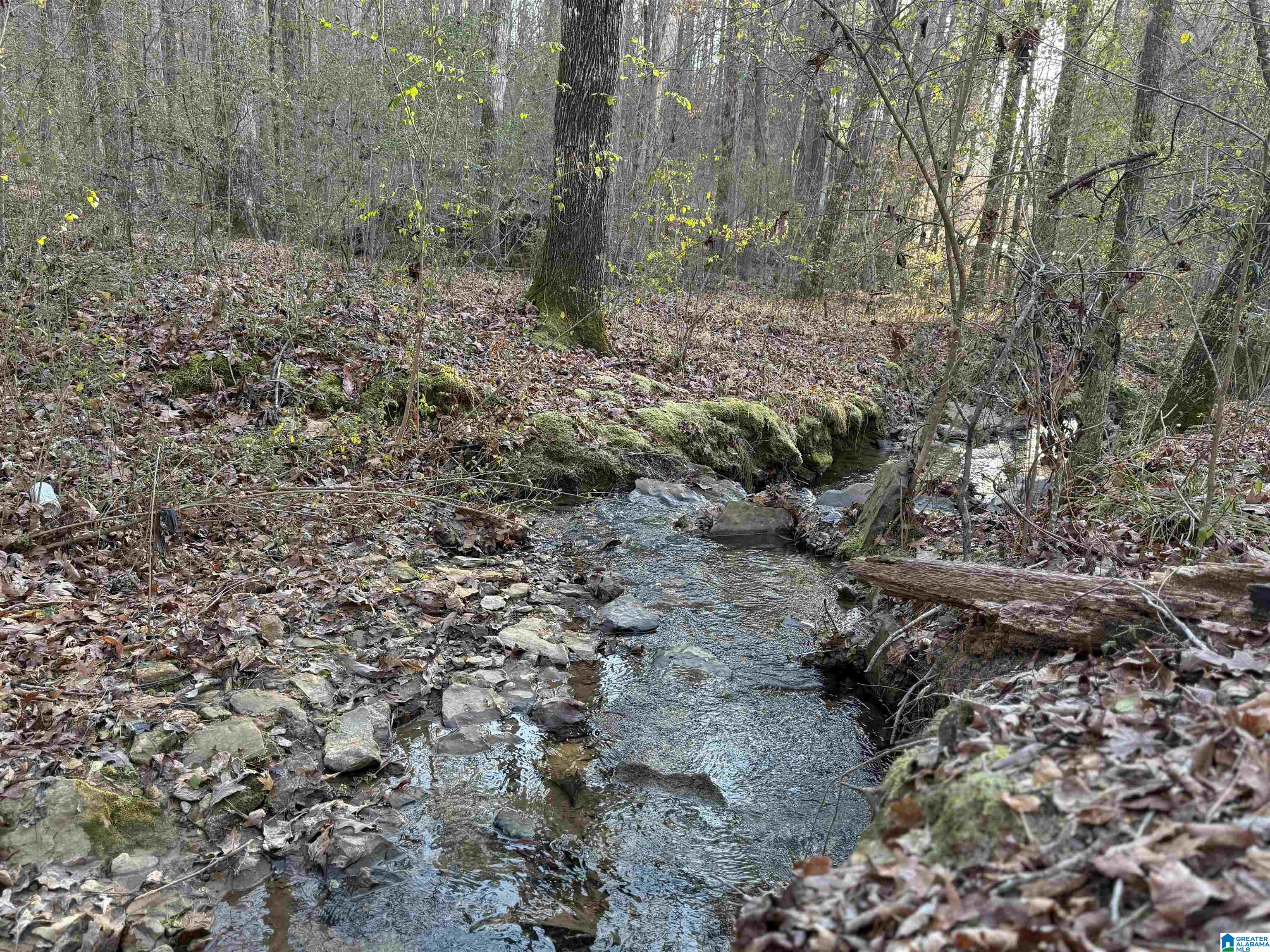 Homes for sale in Dora, AL | 4115 Humber Road, Dora, AL 35062 | MLS# 21441181