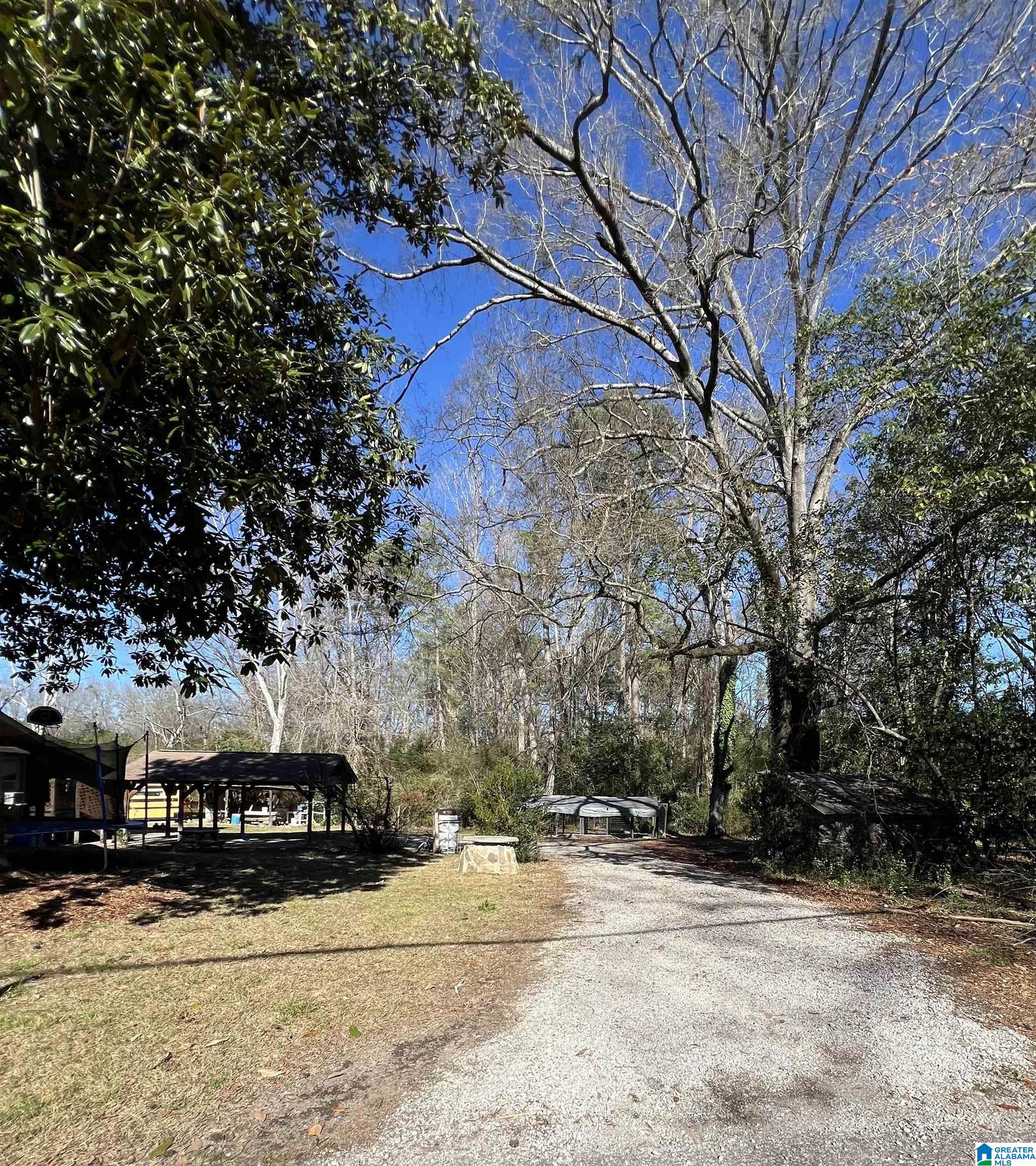 Homes for sale in Columbiana, AL | 110 Carter Lane, Columbiana, AL 35051 | MLS# 21441200