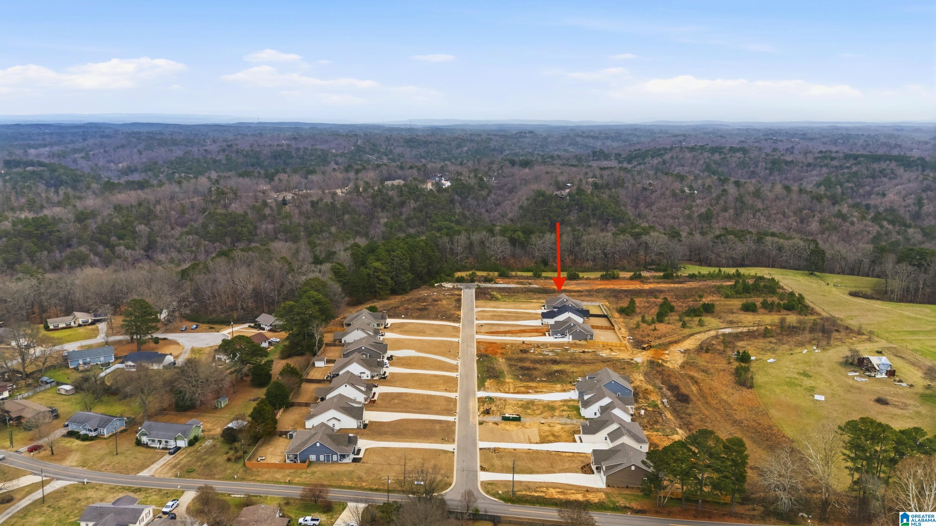 Homes for sale in Mount Olive, AL | 1458 Brooks Dr, Mount Olive, AL 35117 | MLS# 21441206