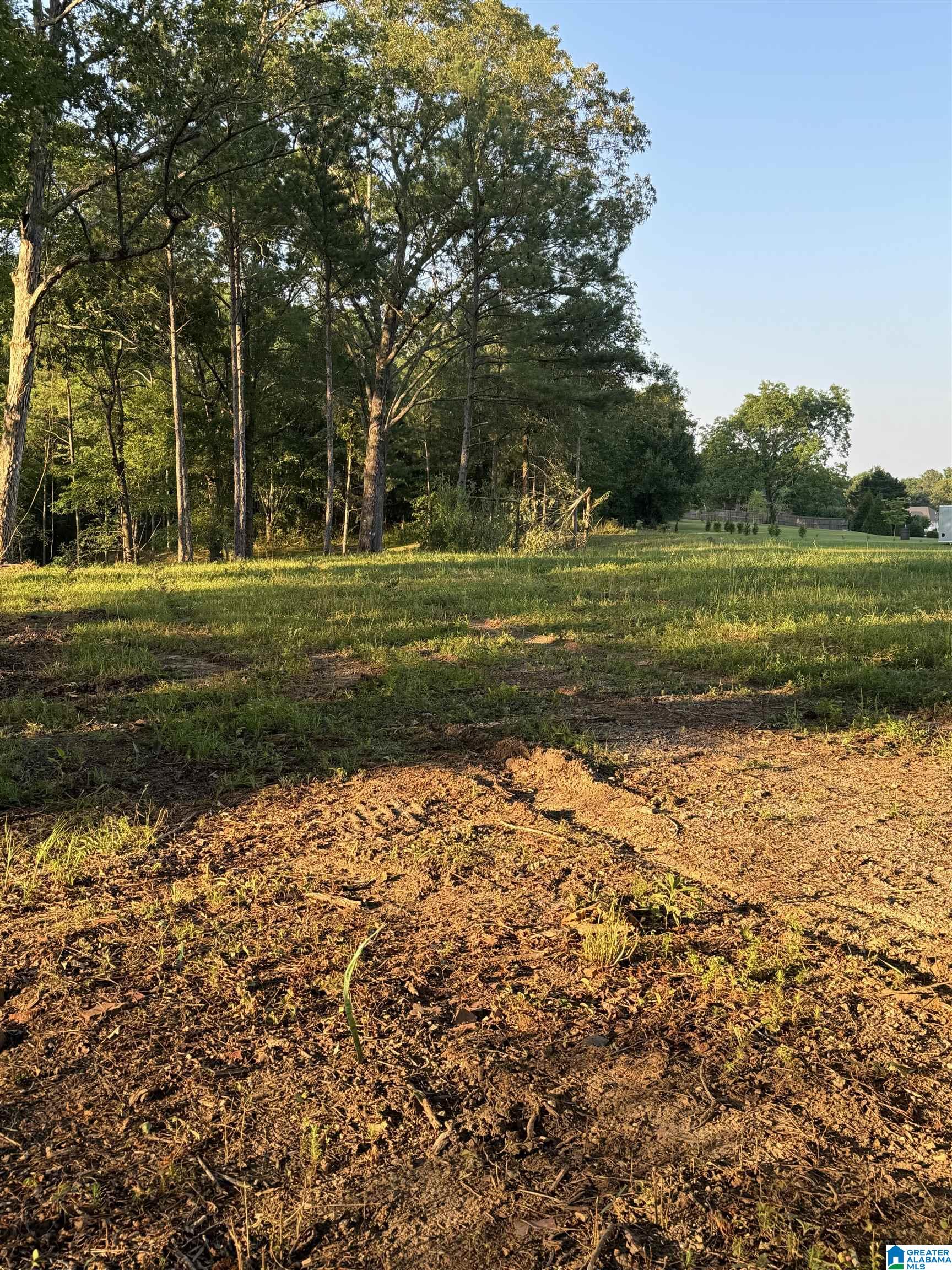 Homes for sale in Warrior, AL | 00 Hwy 160, Warrior, AL 35180 | MLS# 21441209