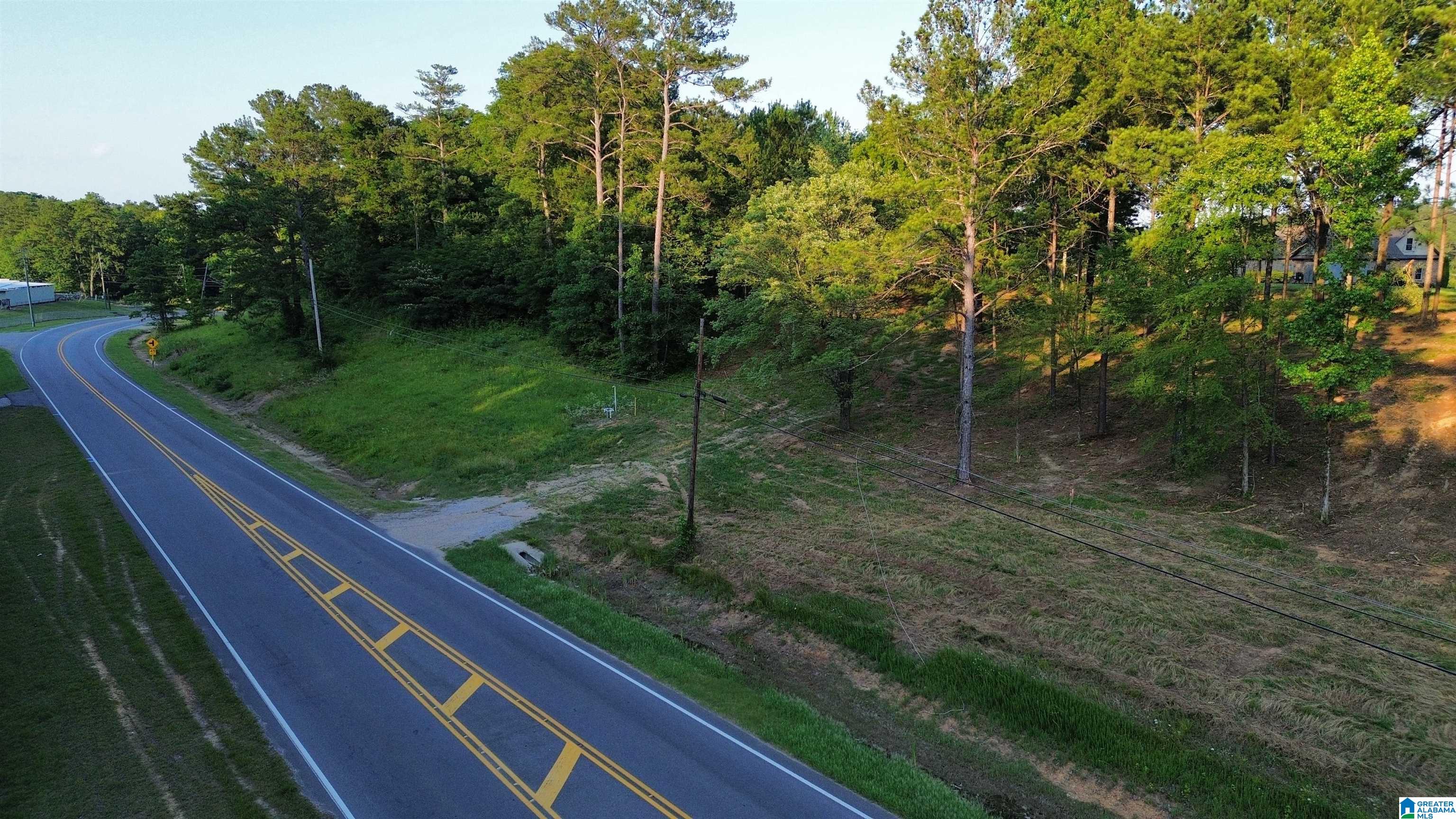 Homes for sale in Warrior, AL | 00 Hwy 160, Warrior, AL 35180 | MLS# 21441209