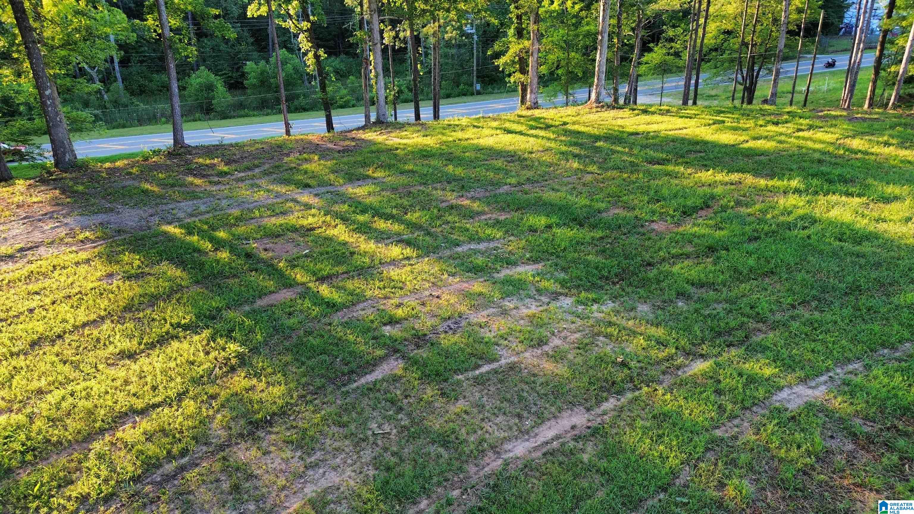 Homes for sale in Warrior, AL | 00 Hwy 160, Warrior, AL 35180 | MLS# 21441209