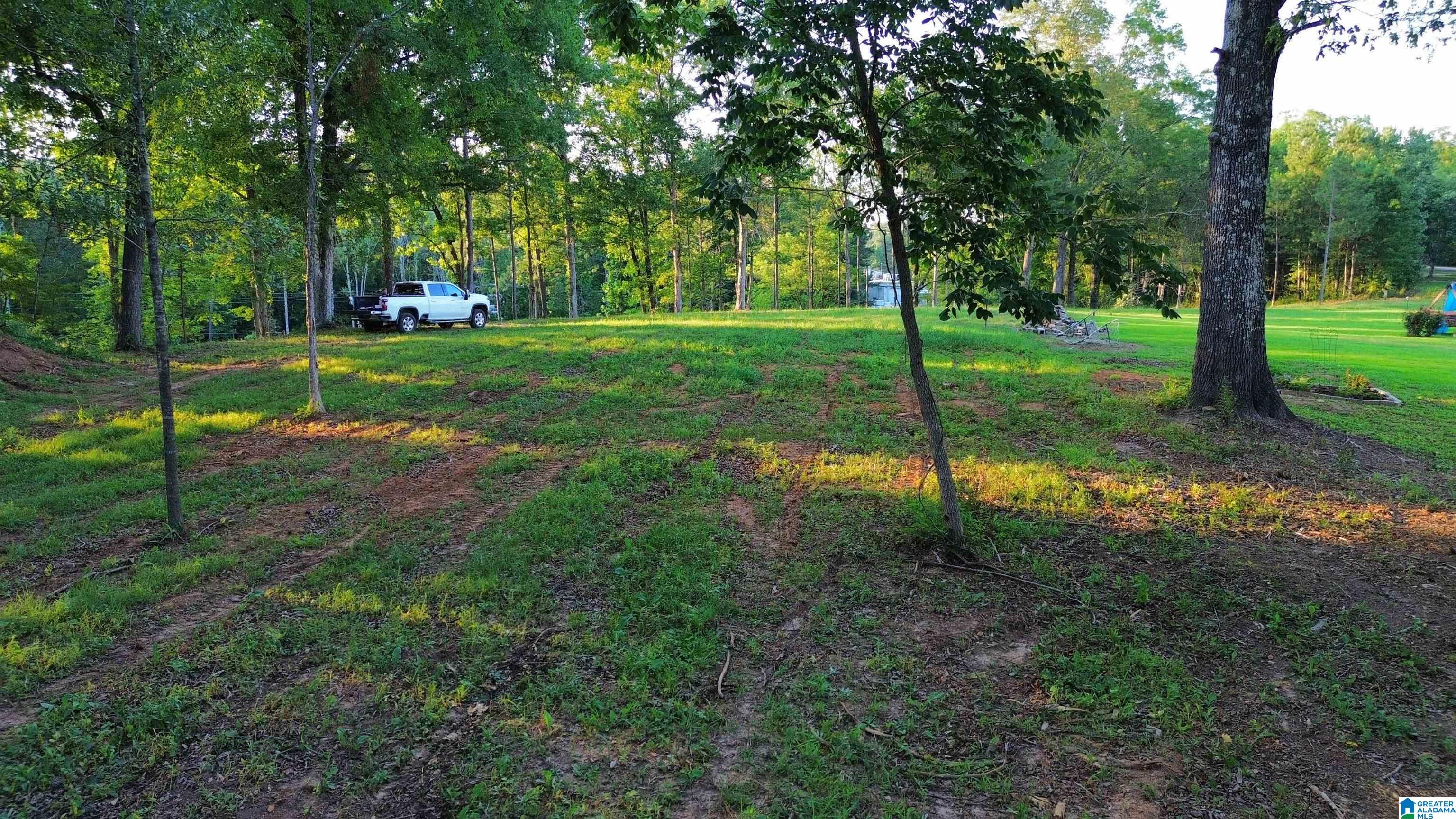 Homes for sale in Warrior, AL | 00 Hwy 160, Warrior, AL 35180 | MLS# 21441209